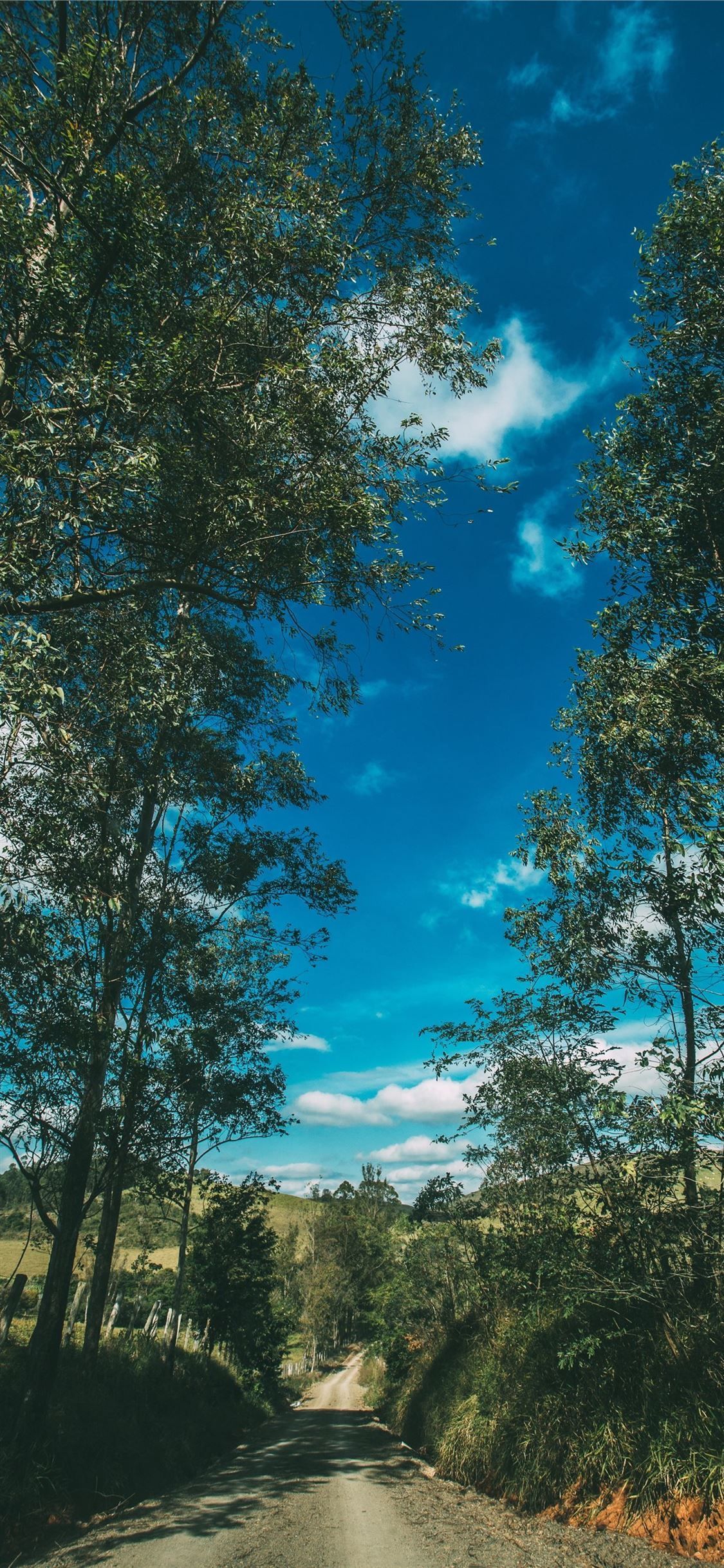 1125x2436 Summer Road Trees Sky Sunny Summer Vibes #TigerWoods #SportCelebrity #GolfCelebrity #UnitedStates #iPhone11Wallpaper. Summer wallpaper, Nature picture, Nature