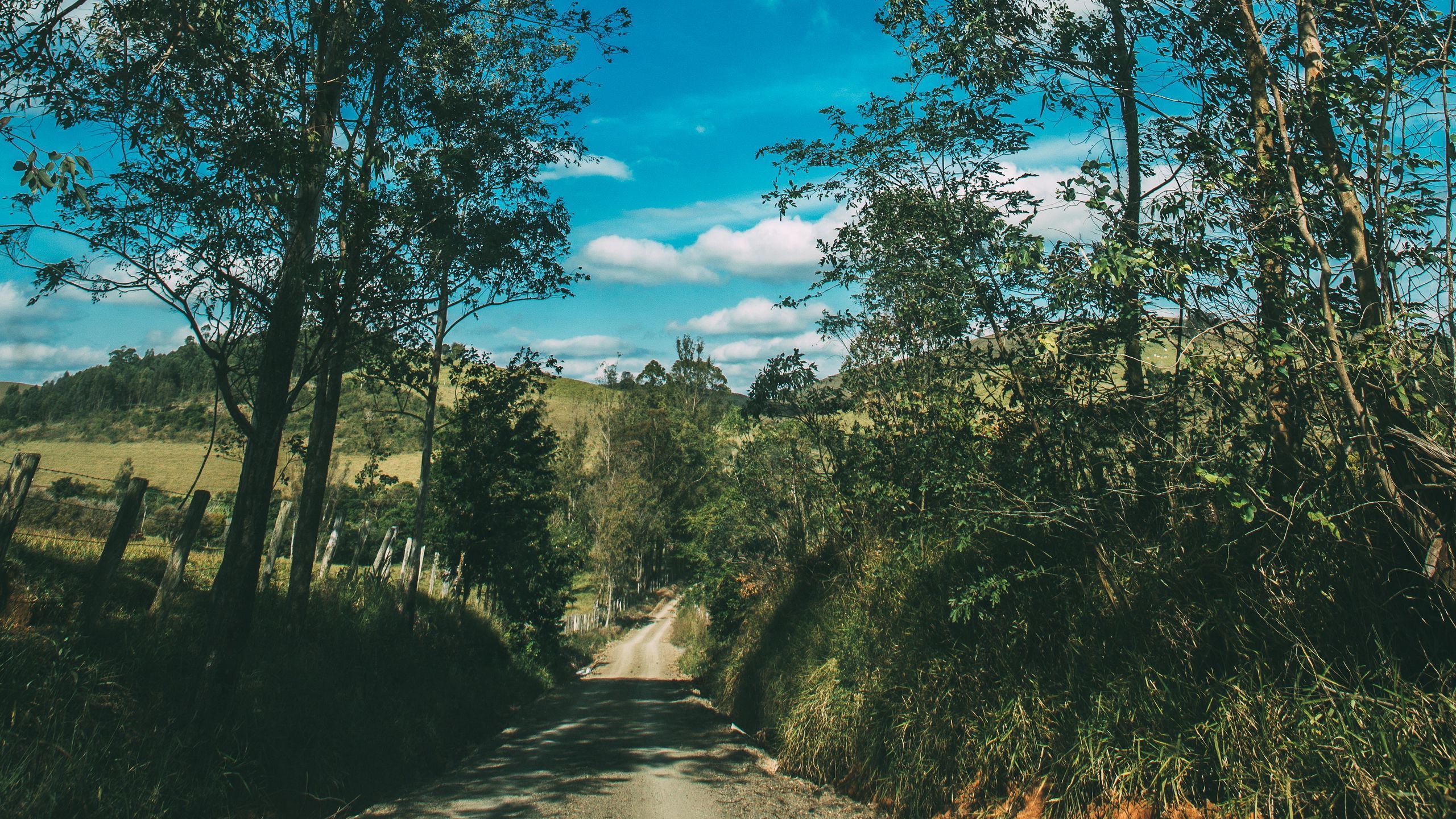 2560x1440 Download wallpaper 2560x1440 summer, road, trees, sky, sunny widescreen 16:9 HD background