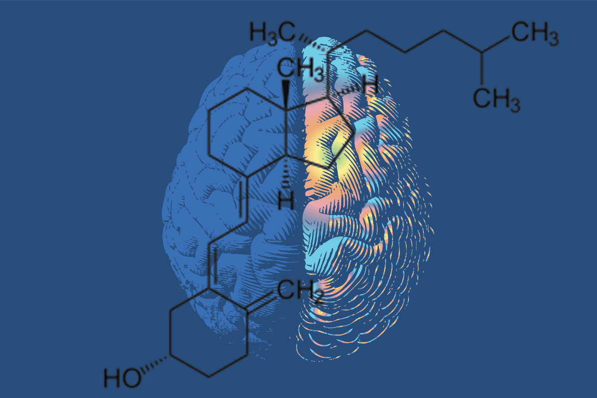 1200x800 Vitamin D Could Prevent Alzheimer's and Dementia, Unique Study Suggests