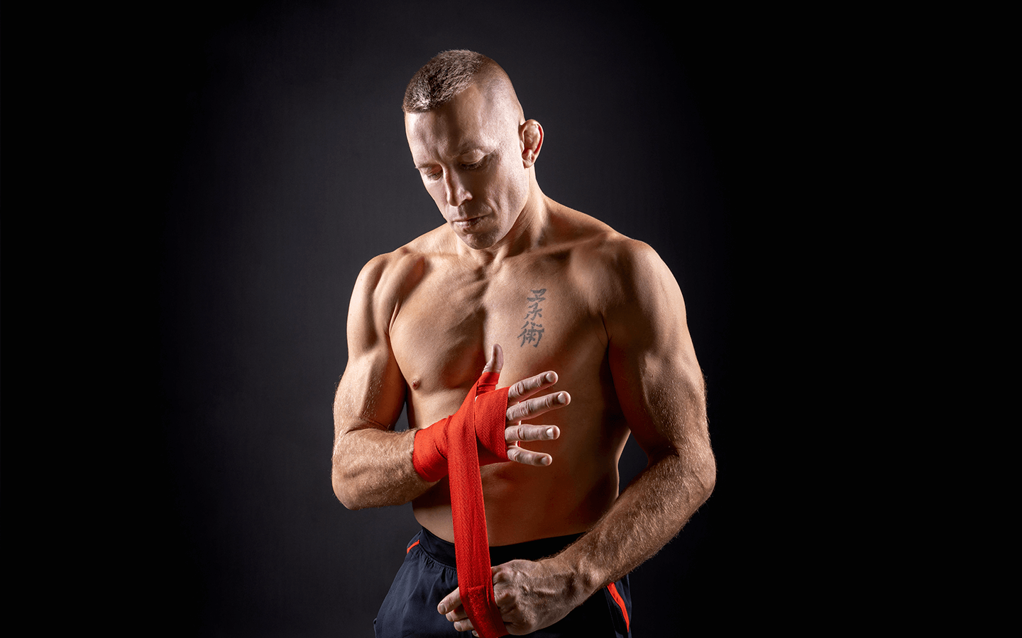 Georges St Pierre Wallpapers - Top Free Georges St Pierre Backgrounds