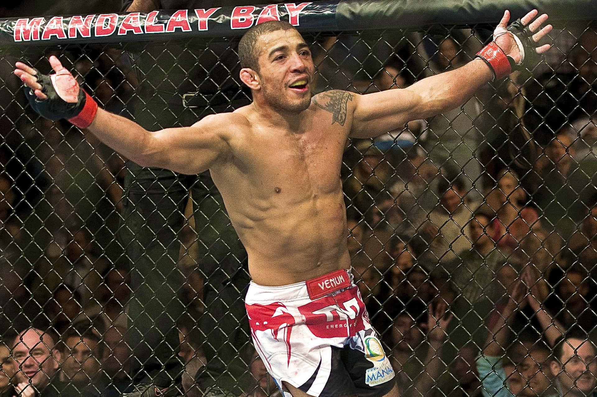 1920x1278 Download UFC Fighter Jose Aldo Cheerful Wallpaper