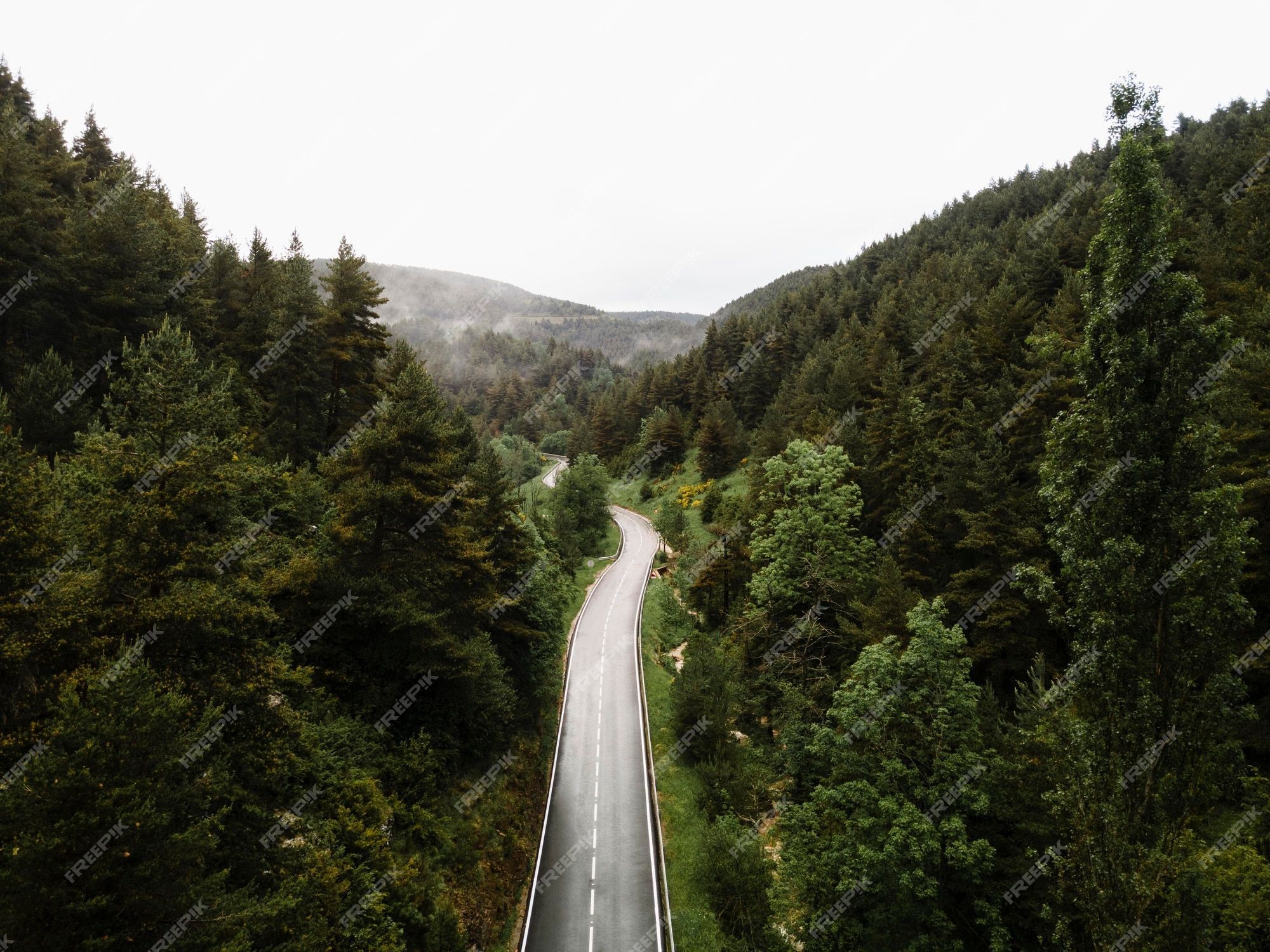 2000x1500 Forest Road Image