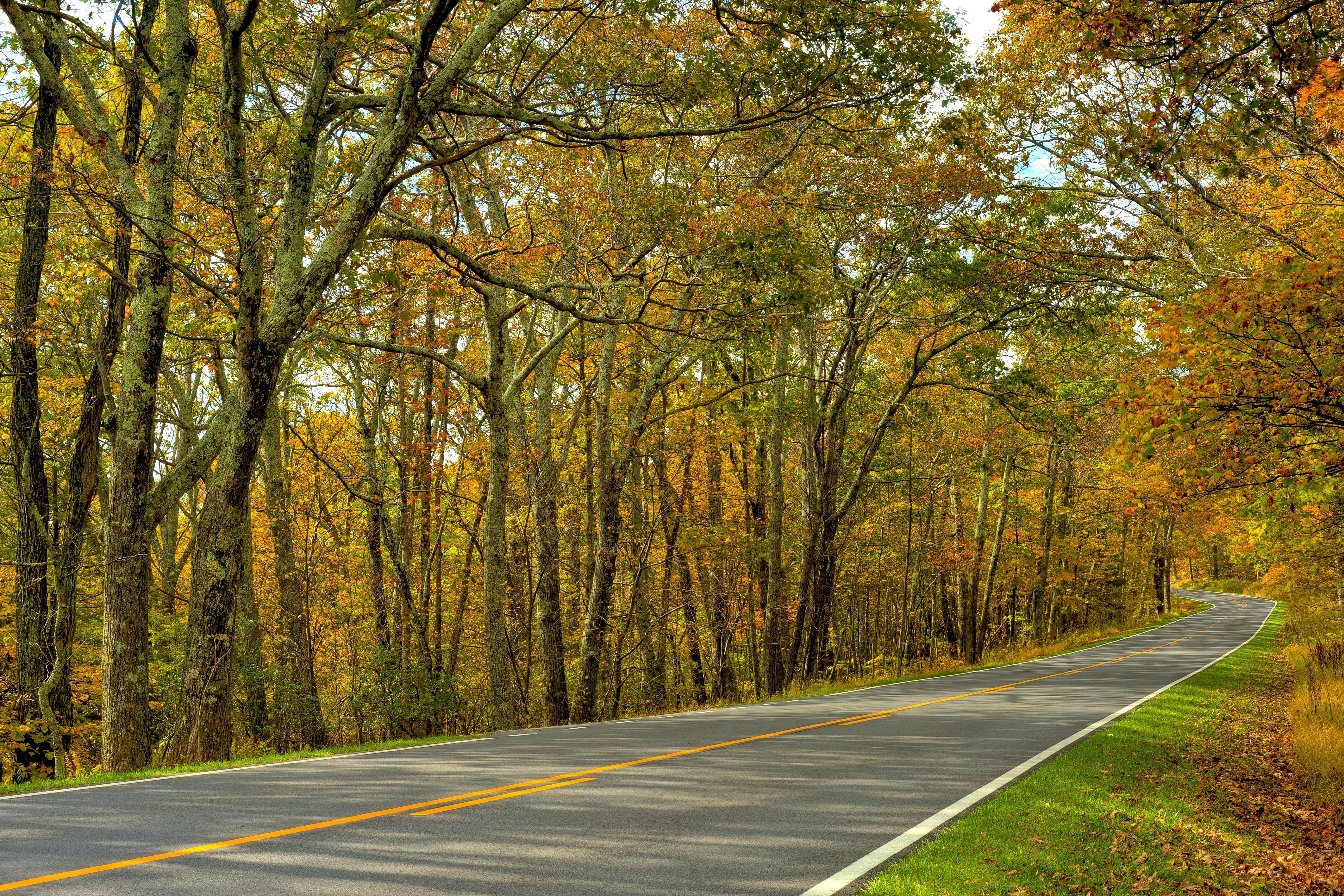 4247x2831 Autumn trees road landscape wallpaperx2831