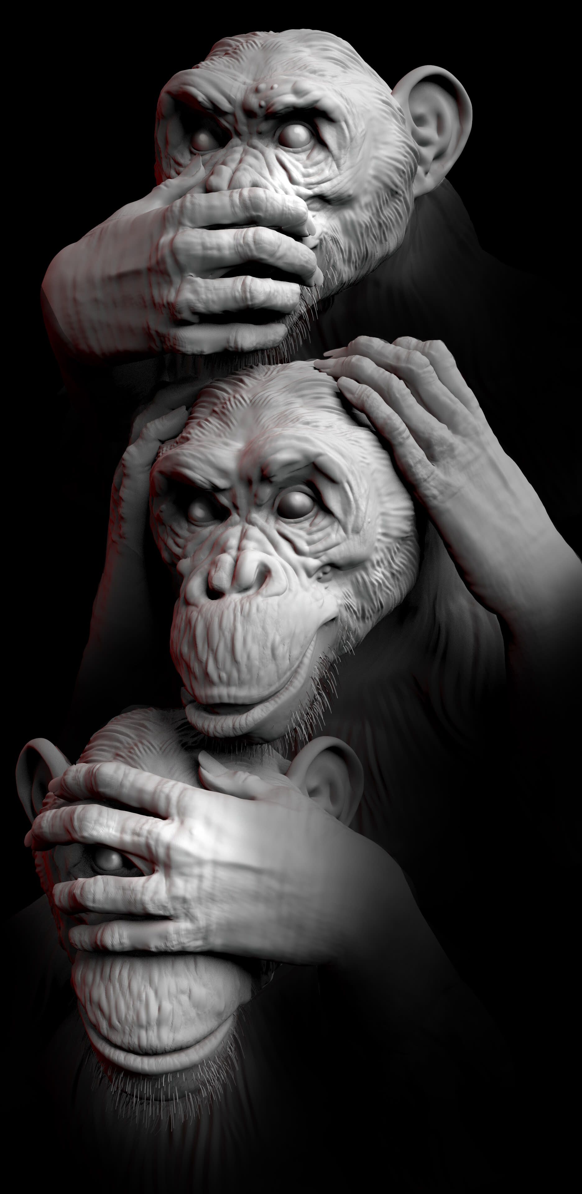 1872x3840 Sarah Albini wise monkeys