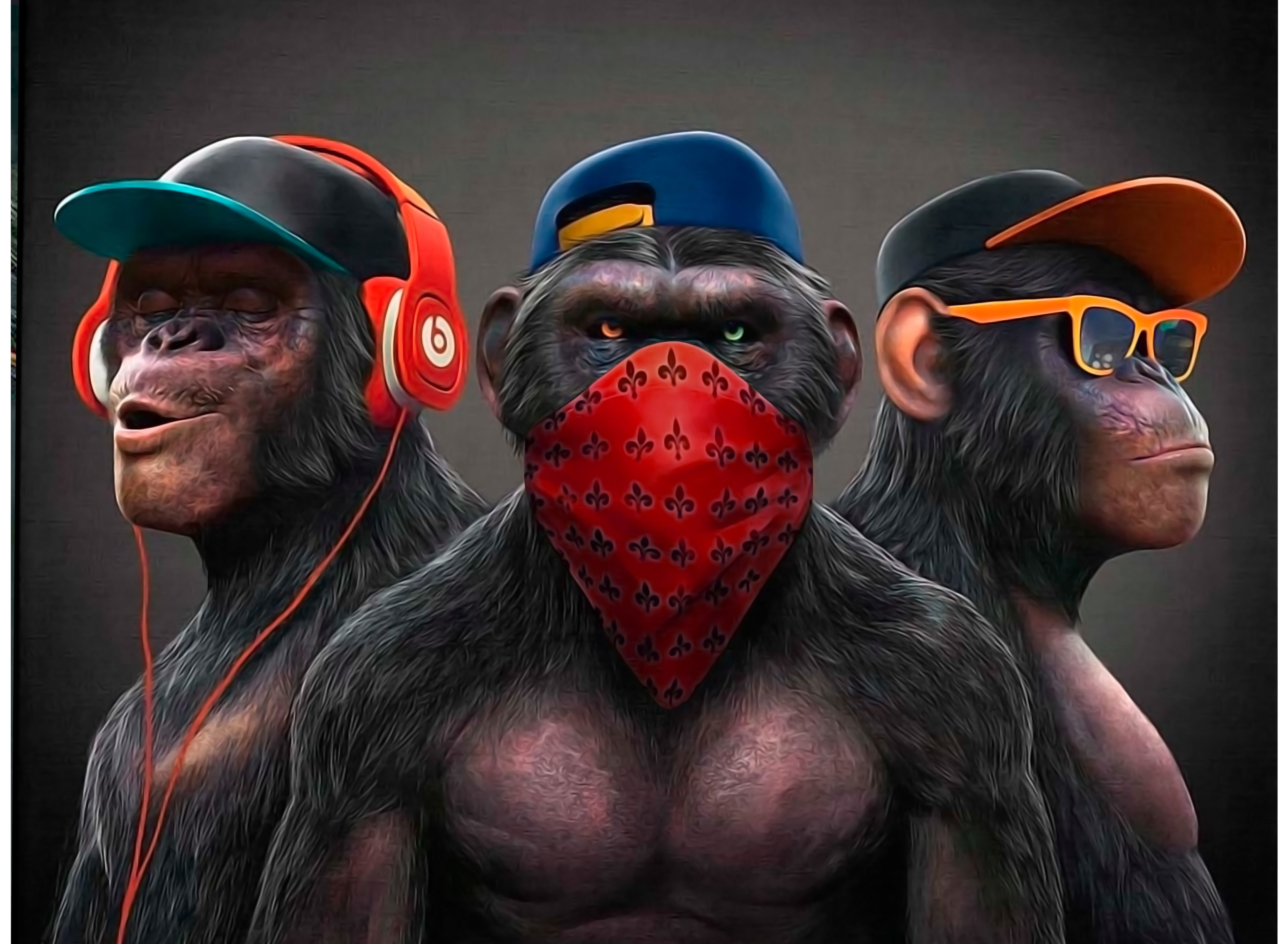 6300x4619 monkey hear, see and be silent K #wallpaper #hdwallpaper #desktop. Monkey wallpaper, Wise monkeys, Animal portraits art
