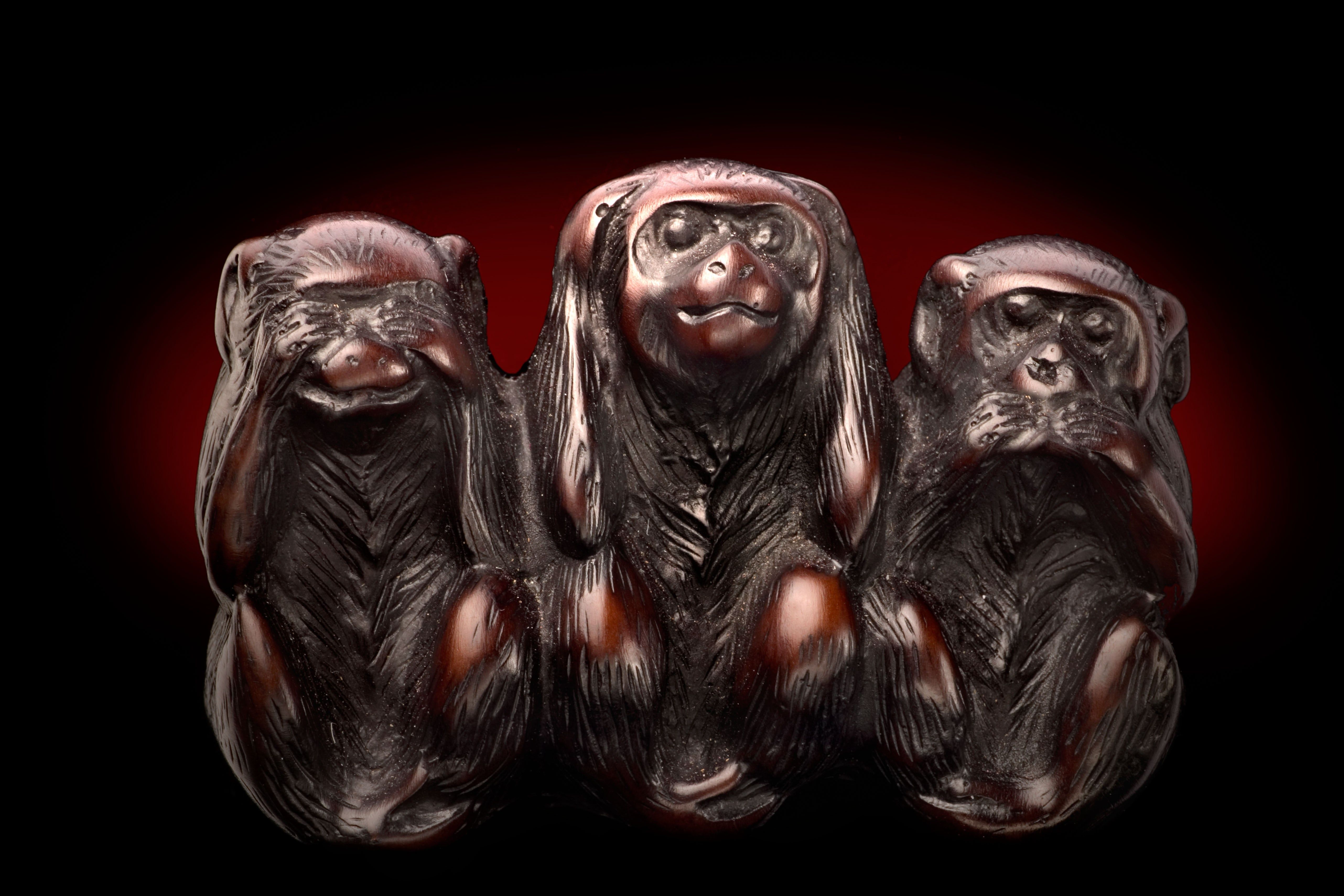 5127x3418 York University academics see the evil of racism in three wise monkeys