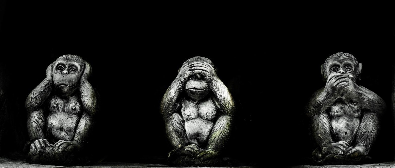 1568x667 Mystic Monkeys
