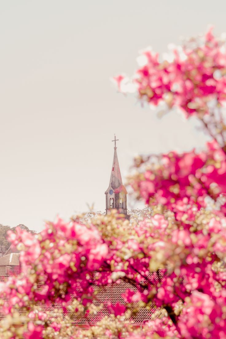 Gramado Wallpapers - Top Free Gramado Backgrounds - WallpaperAccess