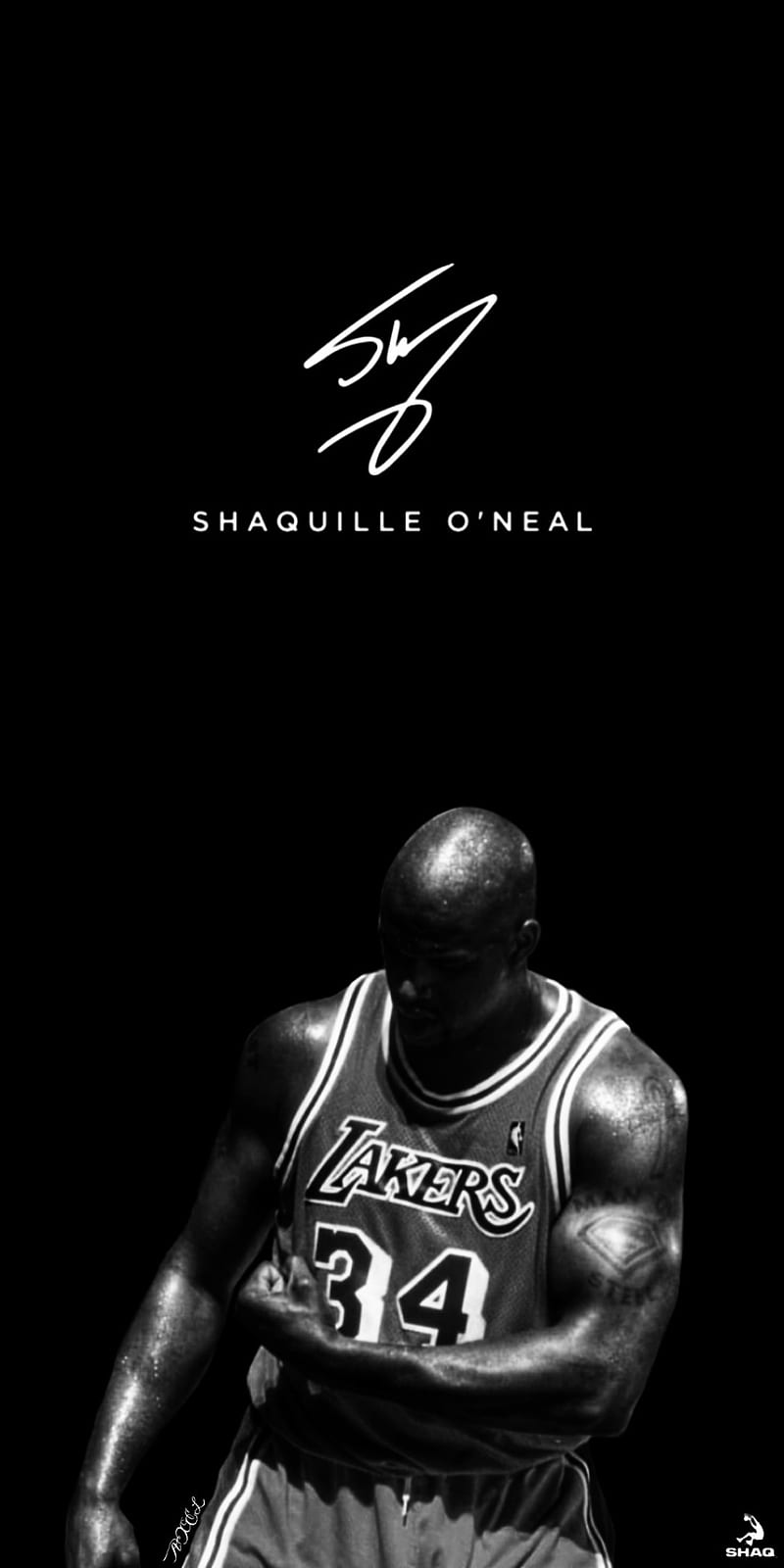 800x1600 HD shaq wallpaper