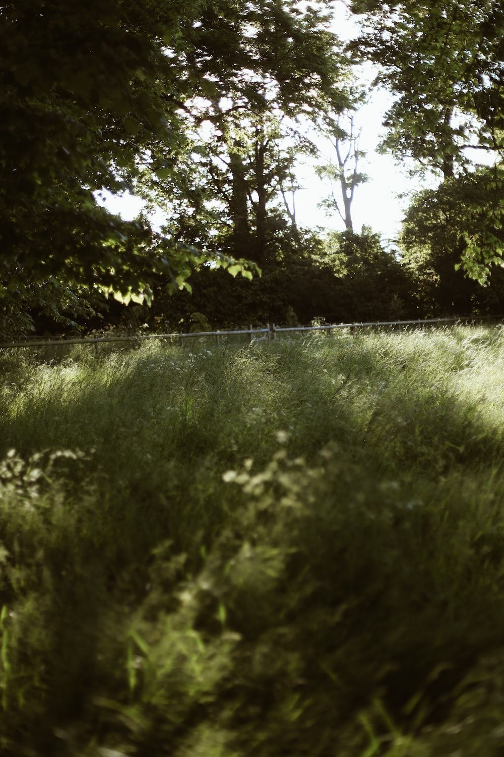 Gramado Wallpapers - Top Free Gramado Backgrounds - WallpaperAccess