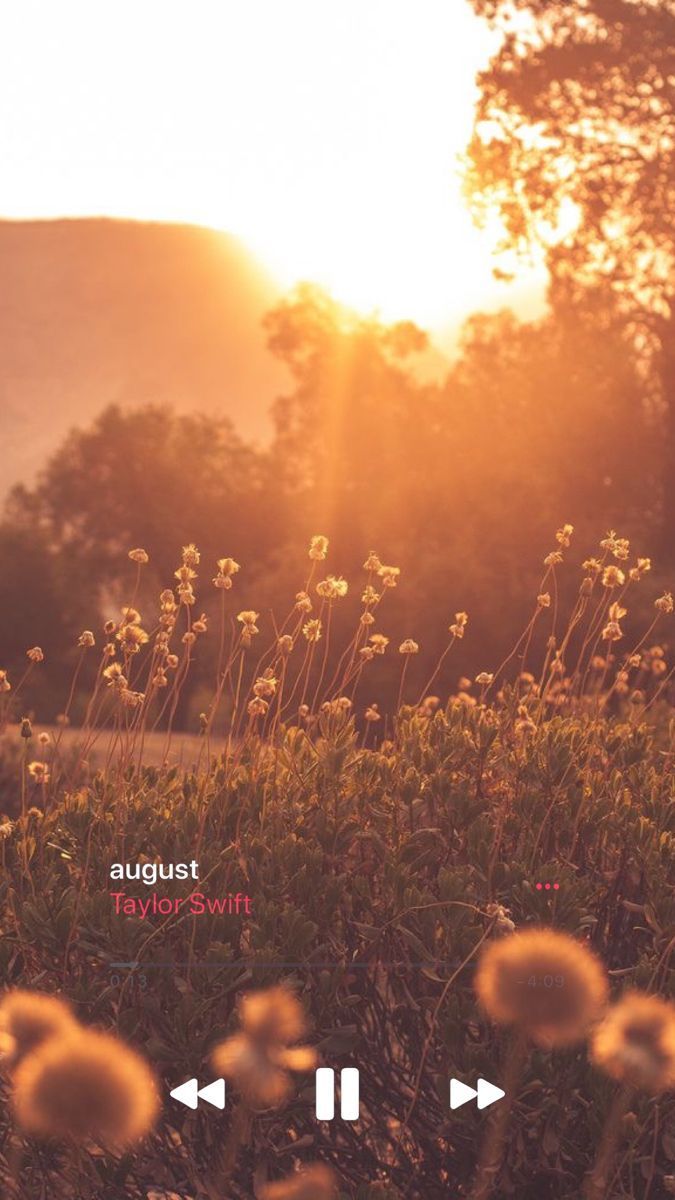 675x1200 MUSIC PLAYER AESTHETIC SWIFT. Taylor swift wallpaper, Taylor swift, Taylor swift lyrics