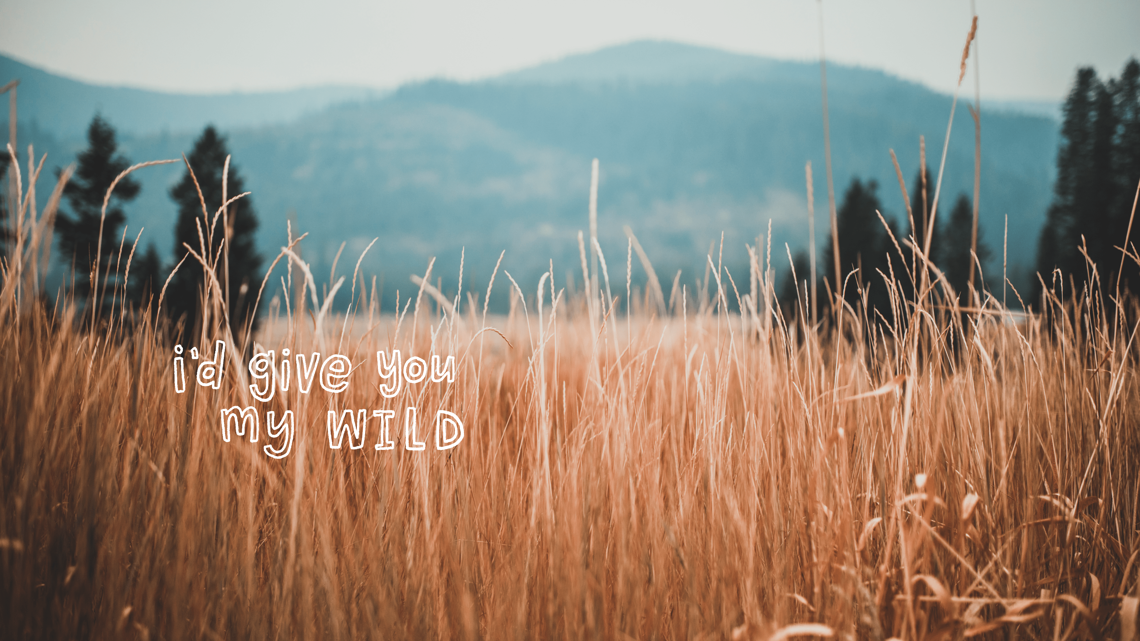 3840x2160 August 2020 Wallpaper and Folder Icon Bright Things