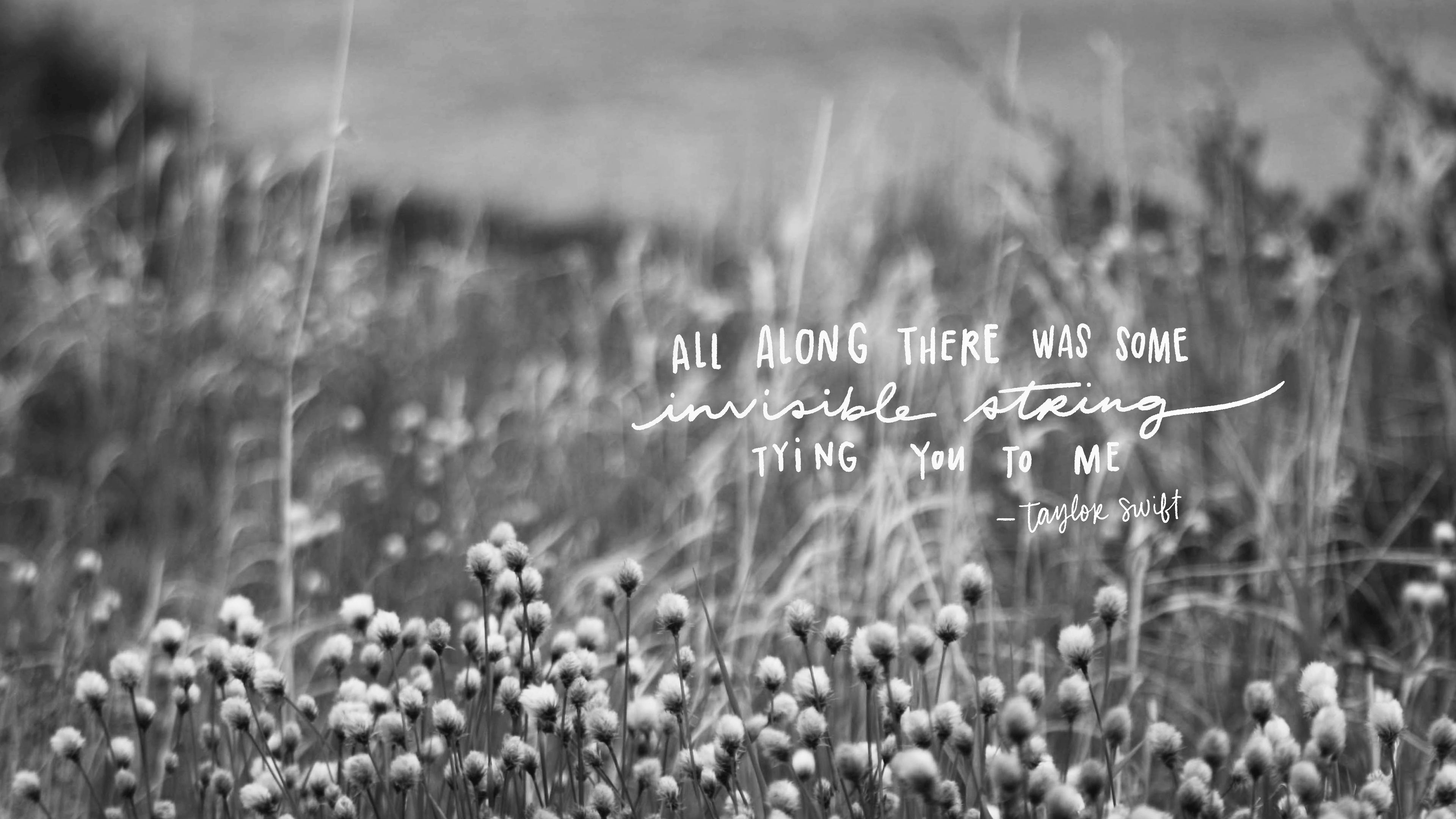 3840x2160 August 2020 Wallpaper and Folder Icon Bright Things