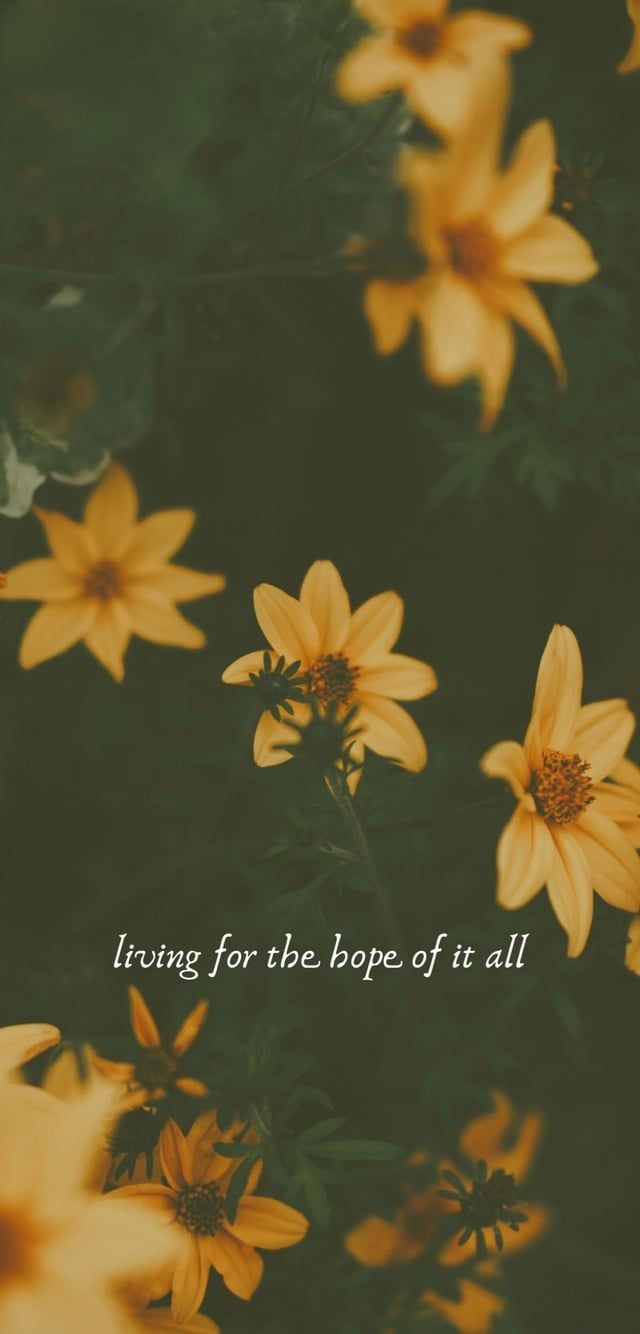 640x1334 Made myself some August phone background & thought y'all might enjoy them too