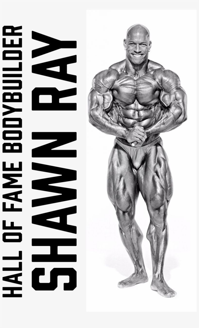 820x1348 Spokesperson Ray Bodybuilder Transparent PNG Download on NicePNG