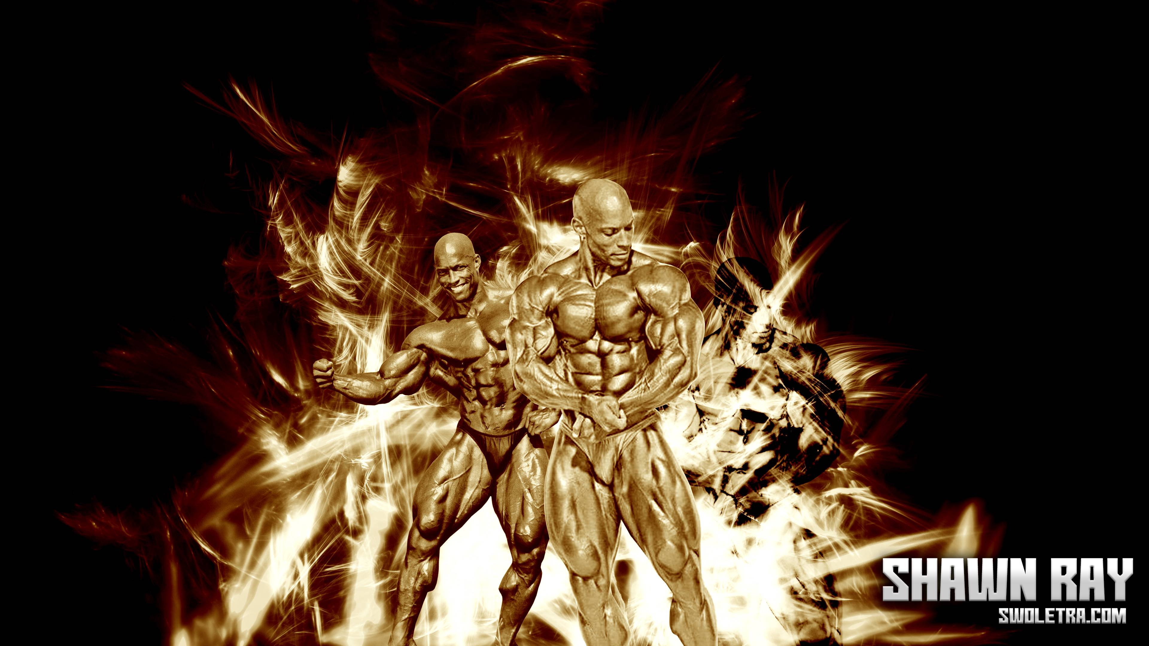 3840x2160 Shawn Rhoden Wallpaper