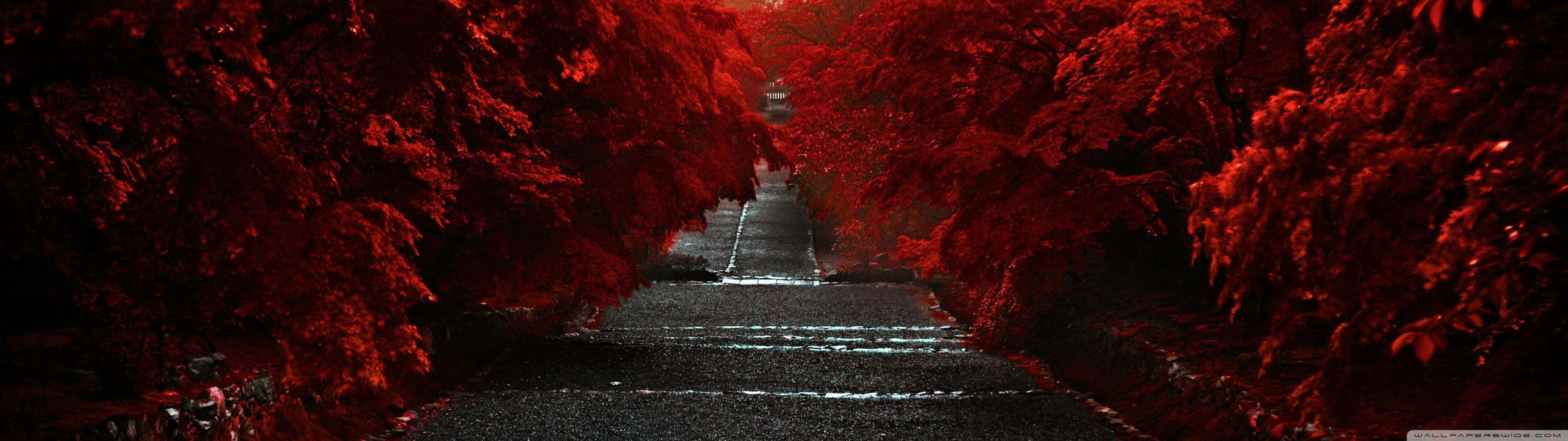 3840x1080 Download 3840X1080 Red Road Picture