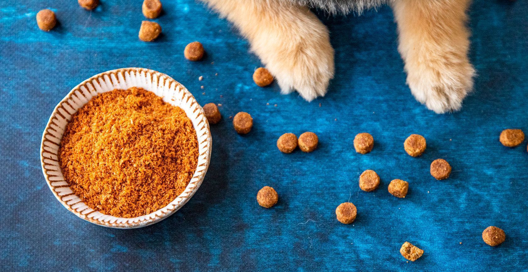 Vivid Dog Food Wallpaper for Mobile Vivid Dog Food Wallpaper for Mobile