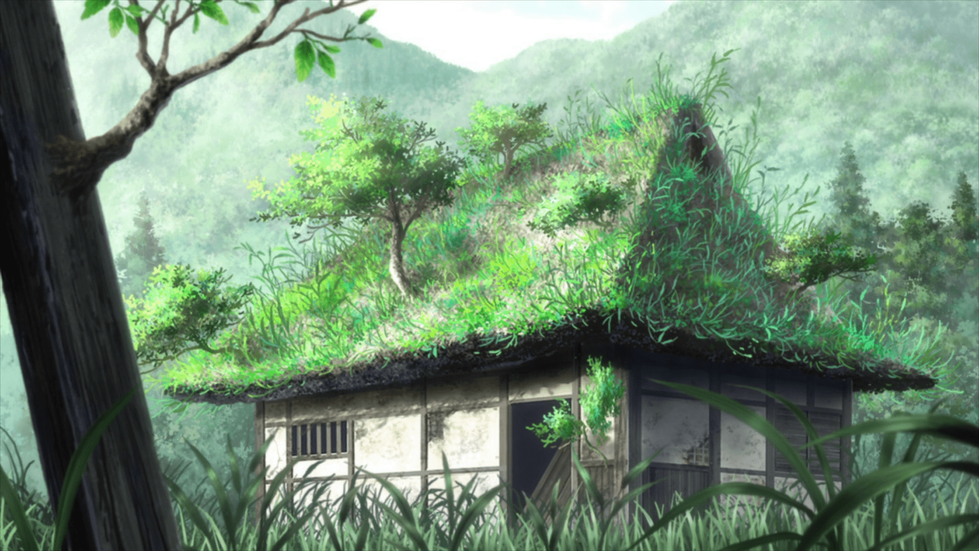 1920x1080 Mushishi HD Wallpaper free