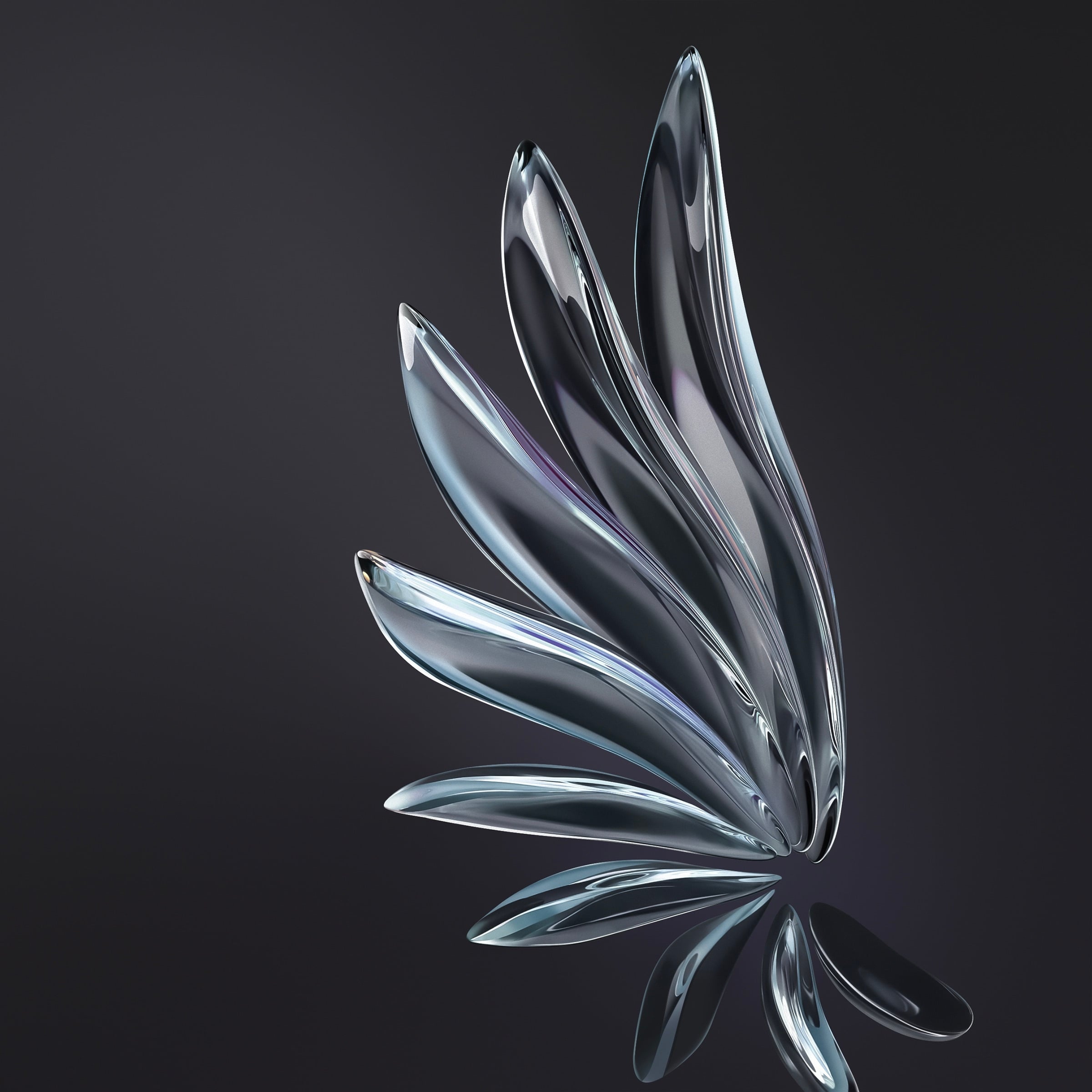 2400x2400 Download HONOR 70 Series Wallpaper!