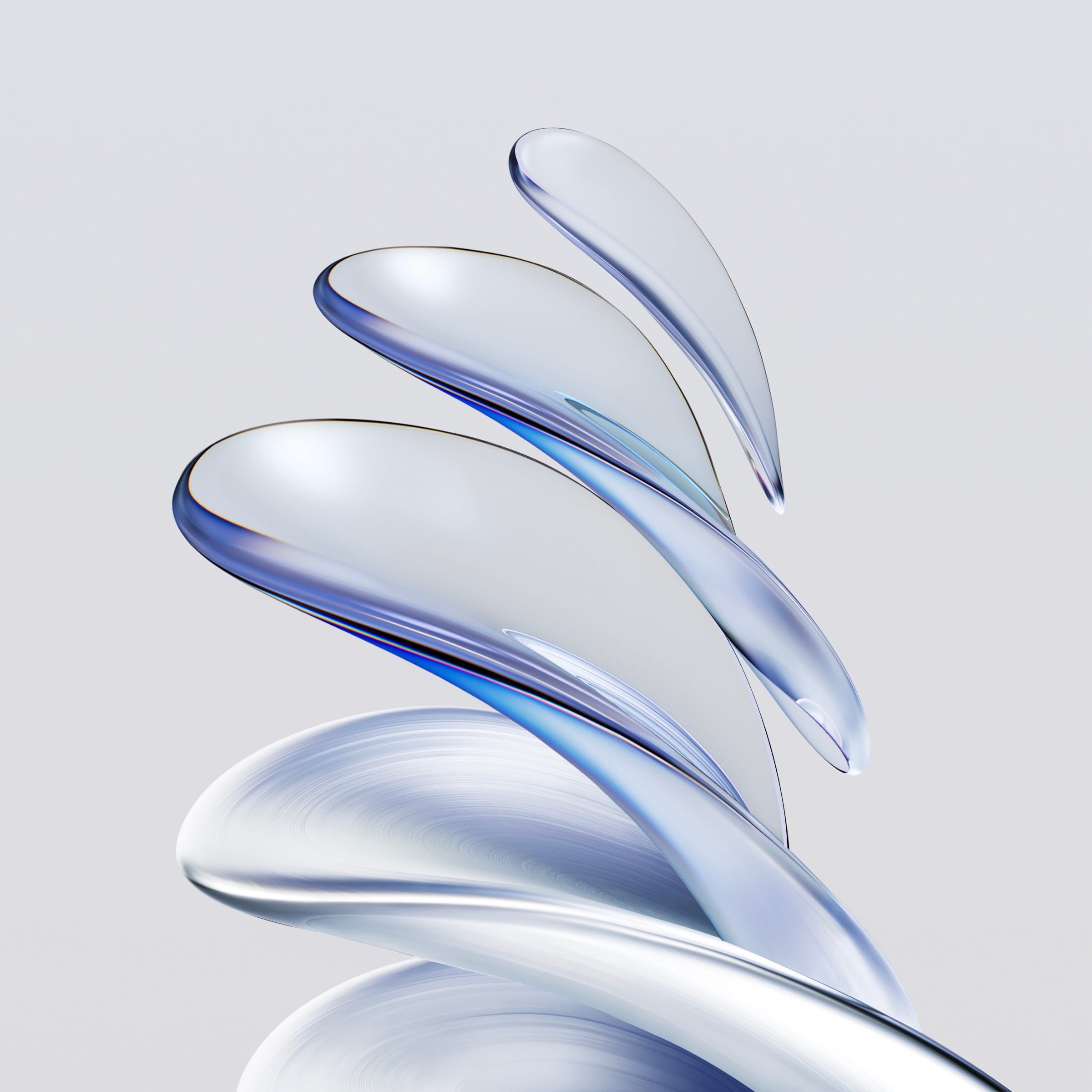 2400x2400 Download HONOR 70 Series Wallpaper!