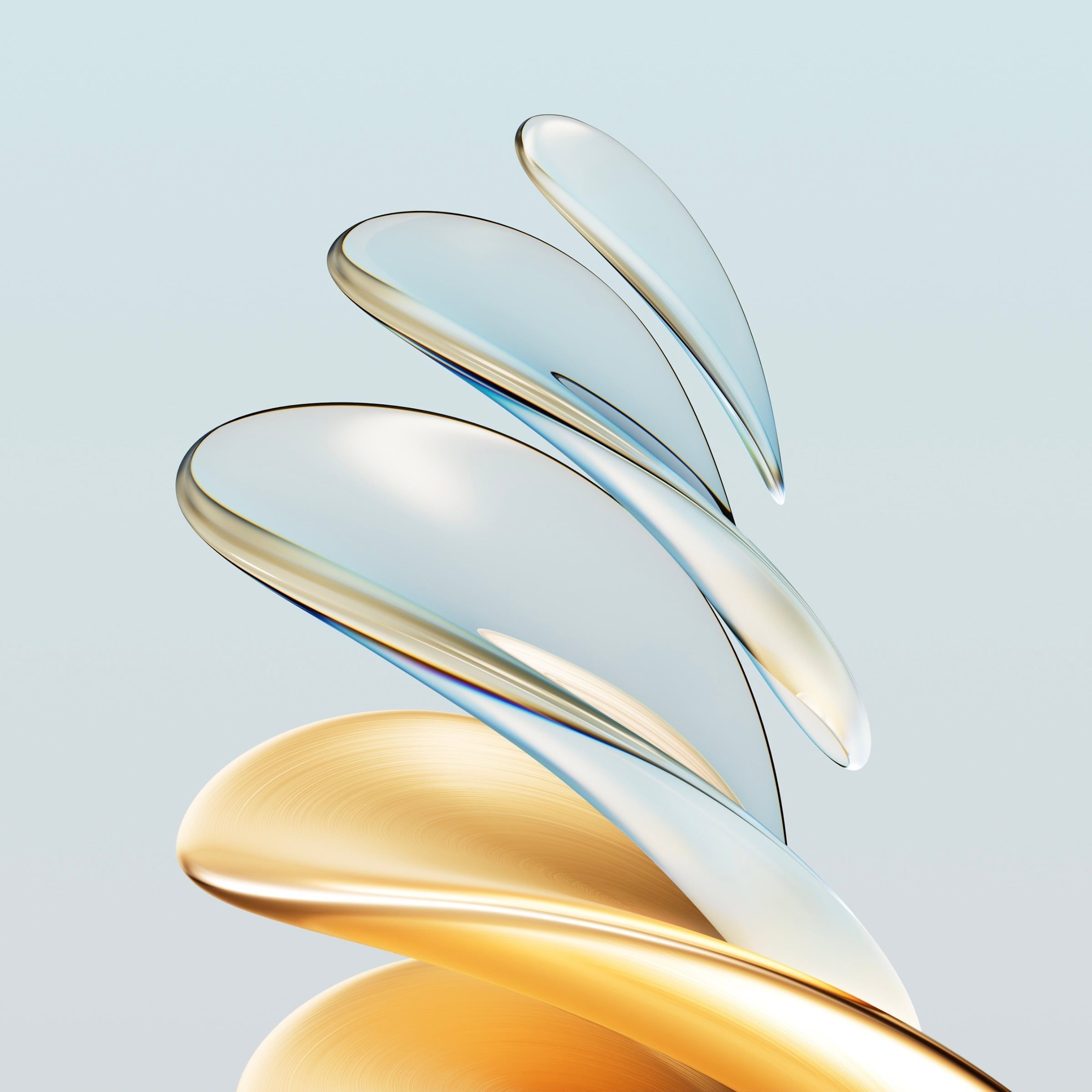2400x2400 Download HONOR 70 Series Wallpaper!