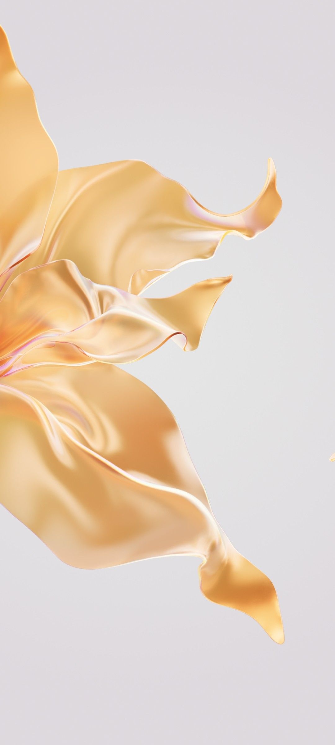 1080x2400 Honor 70 Stock Wallpaper. Floral wallpaper iphone, Pretty wallpaper, Stock wallpaper