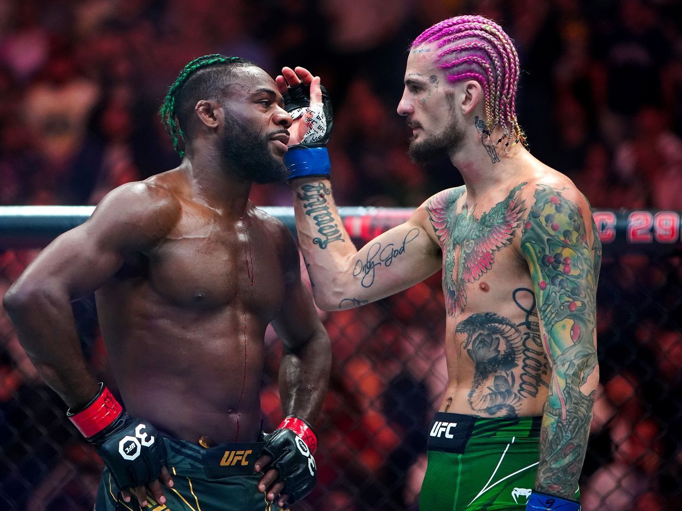1400x1050 Daniel Cormier: Aljamain Sterling 'should get a rematch with Sean O'Malley but he won't'