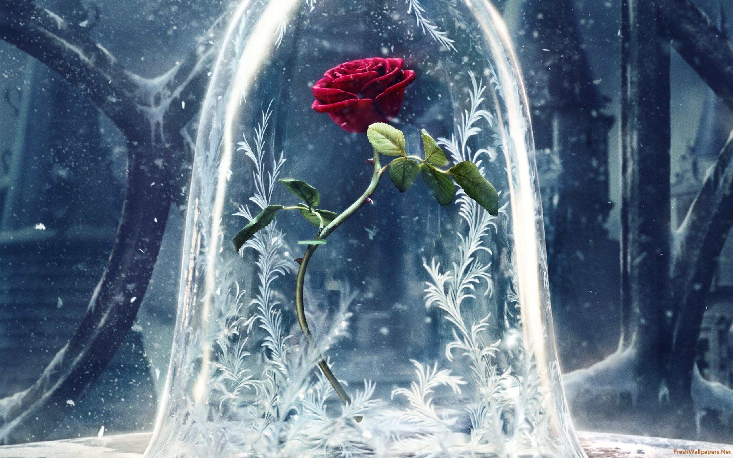 2560x1600 Beauty And The Beast 2017 wallpaper