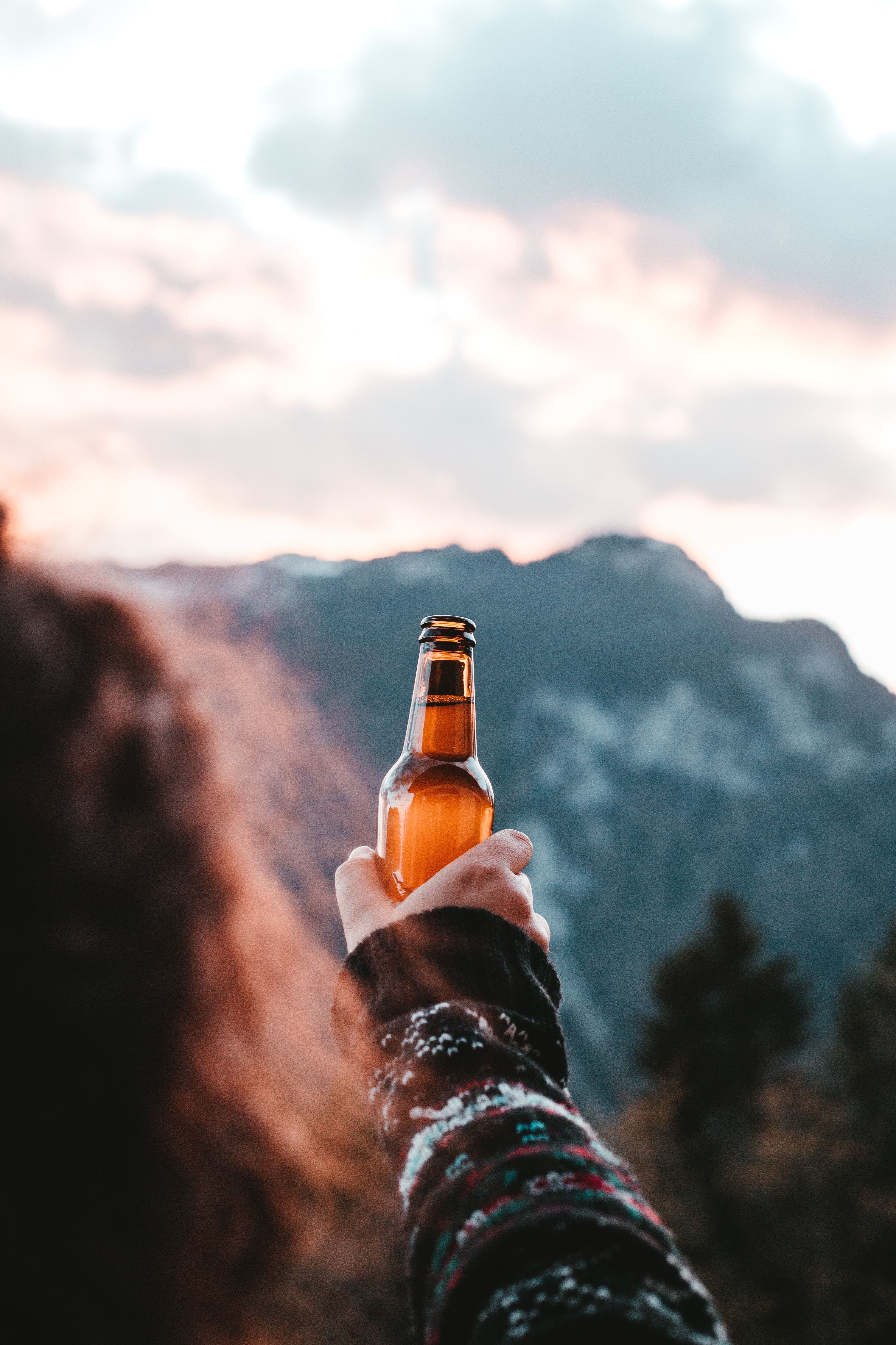 4160x6240 Cheers Beer Photo, Download The BEST Free Cheers Beer & HD Image