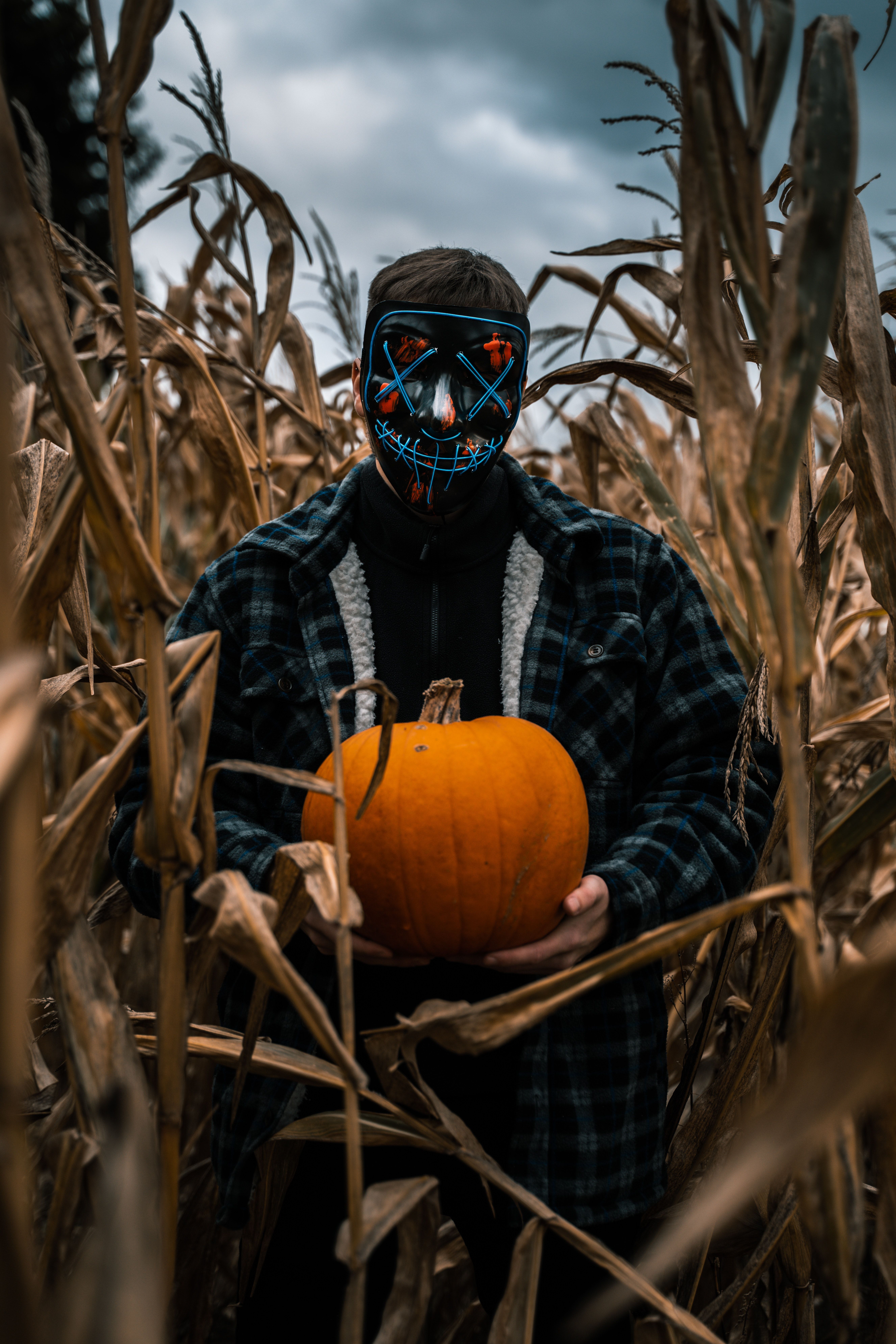 5304x7952 Halloween Costume Photo, Download The BEST Free Halloween Costume & HD Image