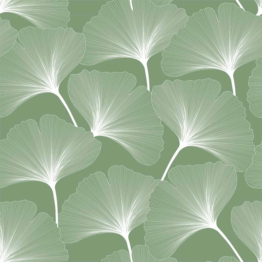 Ginkgo Leaf Wallpapers Top Free Ginkgo Leaf Backgrounds WallpaperAccess
