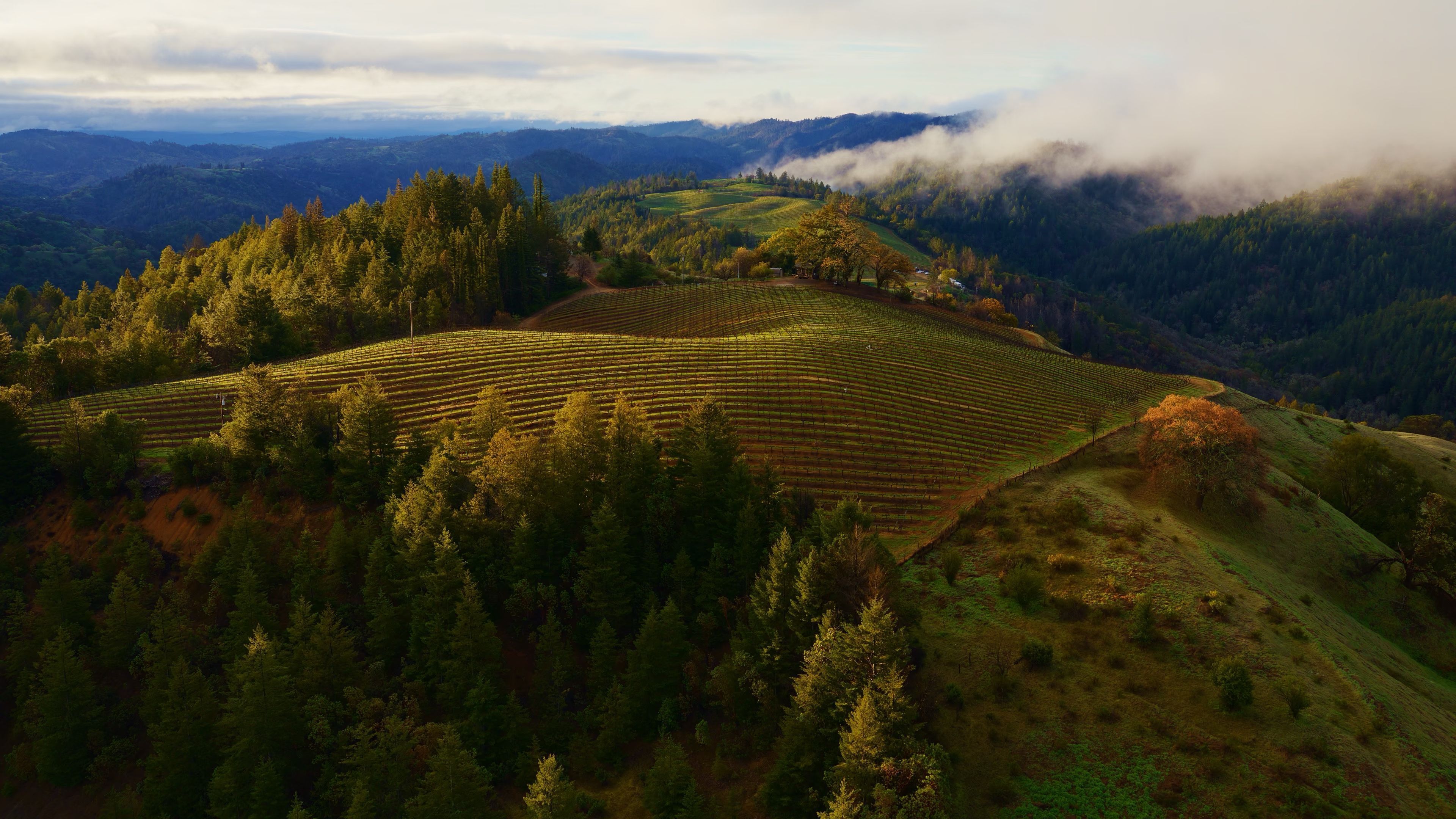 3840x2160 Apple Adds New 'Sonoma Horizon' Wallpaper in macOS Sonoma 14 Beta 6 [Download]