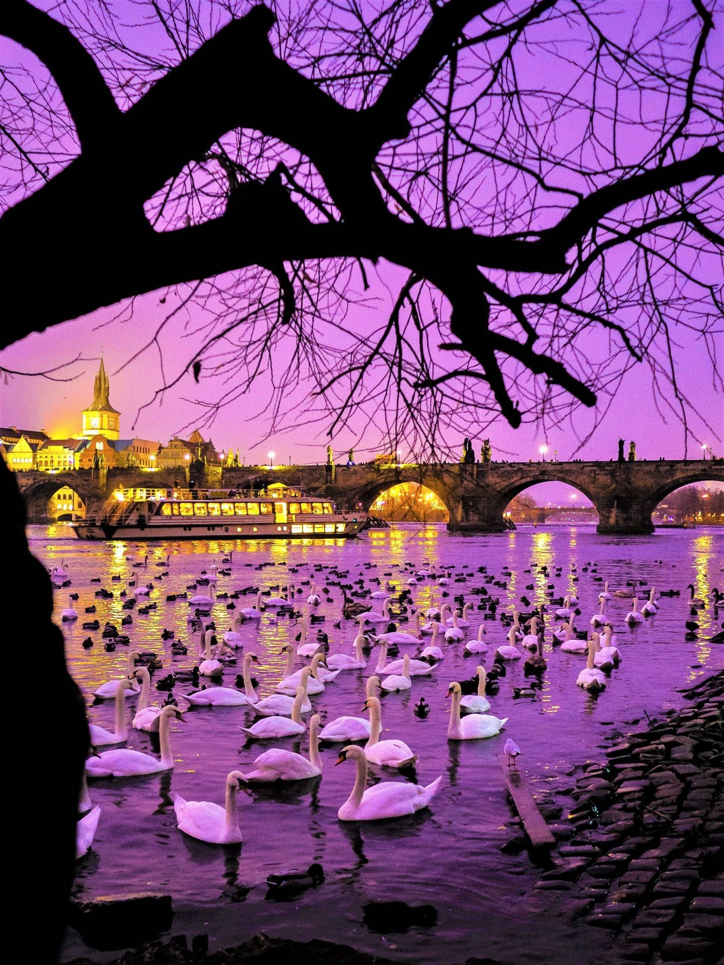 1440x1920 Download Prague Czech Republic Aesthetic Wallpaper