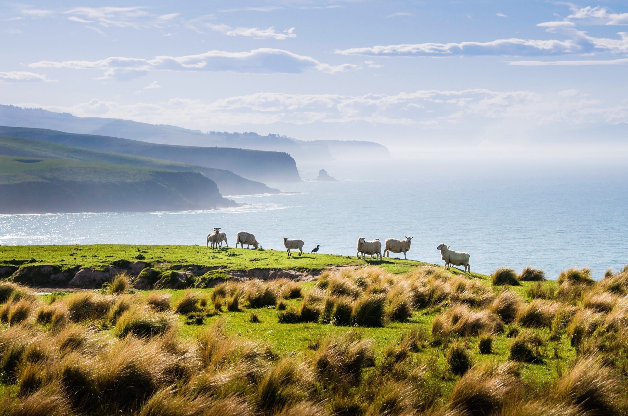 2560x1696 Luxury Travel New Zealand. Christchurch And Kaikoura