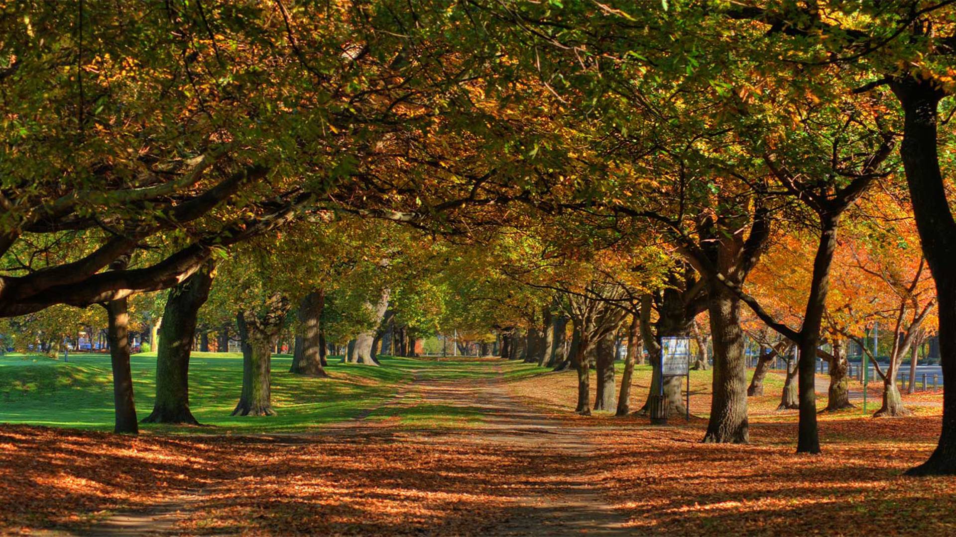 1920x1080 Christchurch City Sightseeing Tour. GreatSights New Zealand
