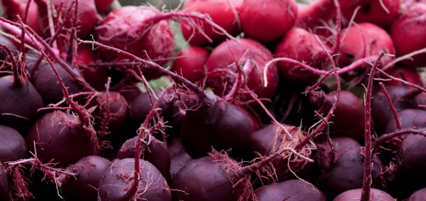 Beetroot Wallpapers - Top Free Beetroot Backgrounds - WallpaperAccess