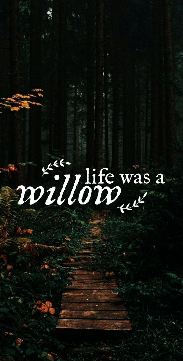 736x1451 willow swift wallpaper. Taylor swift lyrics, Taylor swift wallpaper, Taylor swift quotes