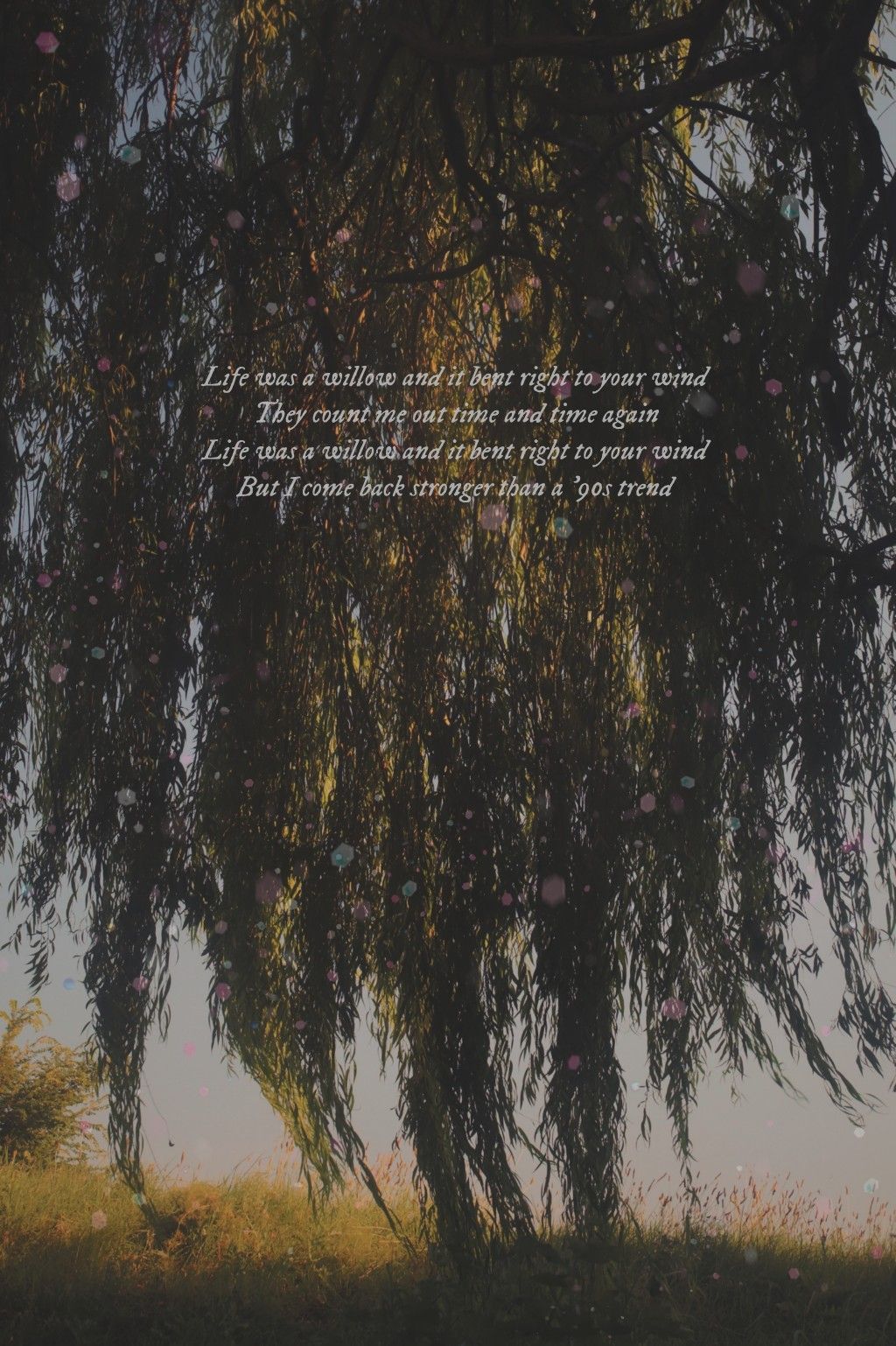 1024x1538 Taylor Swift lyrics willow. Taylor swift lyrics, Taylor swift wallpaper, Taylor lyrics