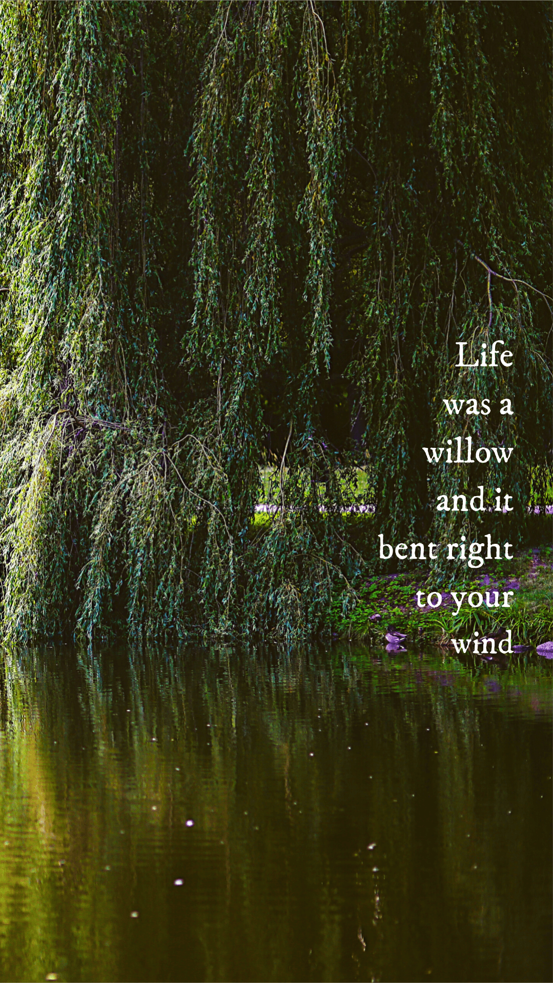 1079x1918 willow. Taylor swift lyrics, Taylor swift songs, Taylor swift wallpaper