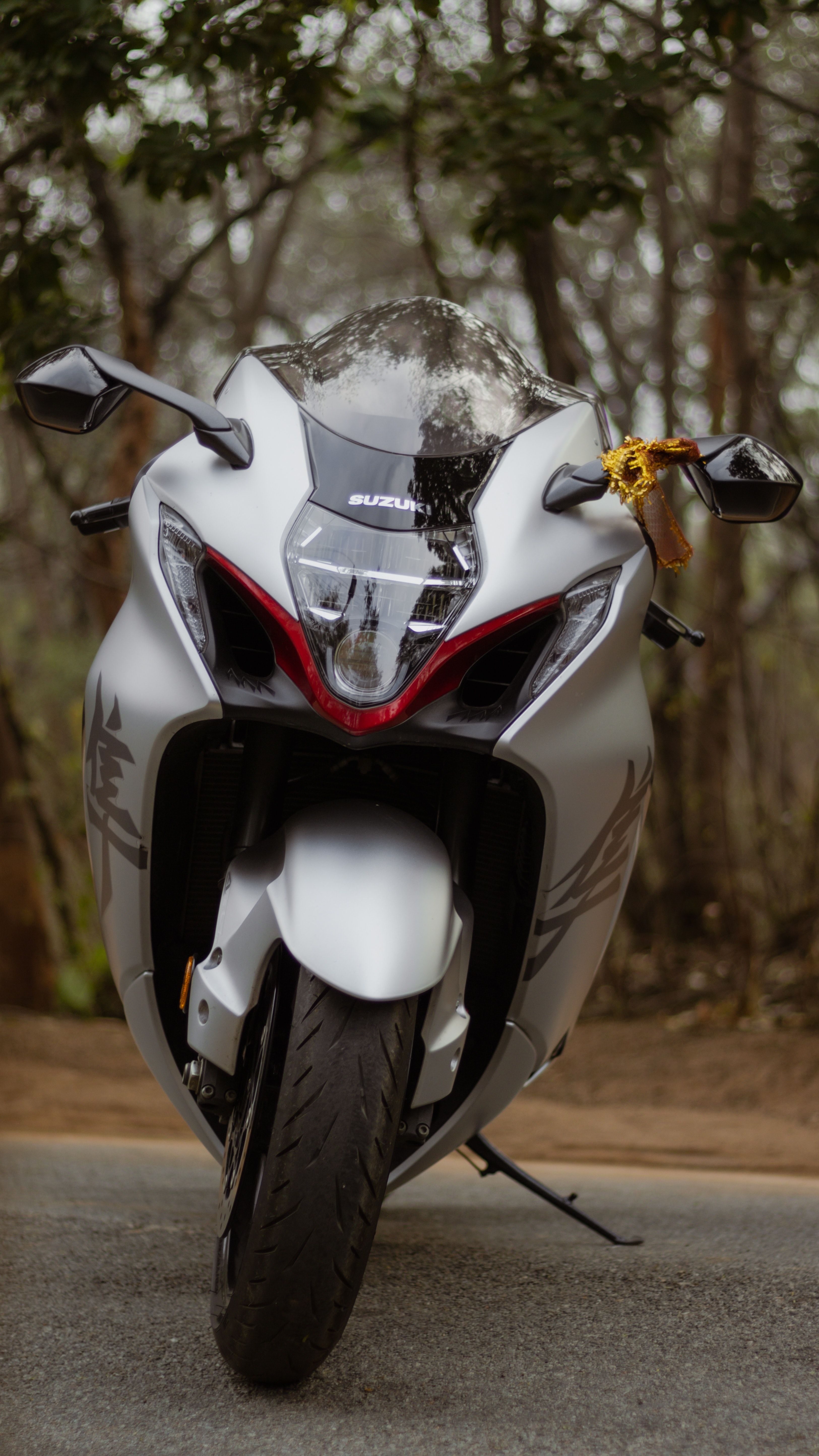 3250x5777 Hayabusa & HD Image