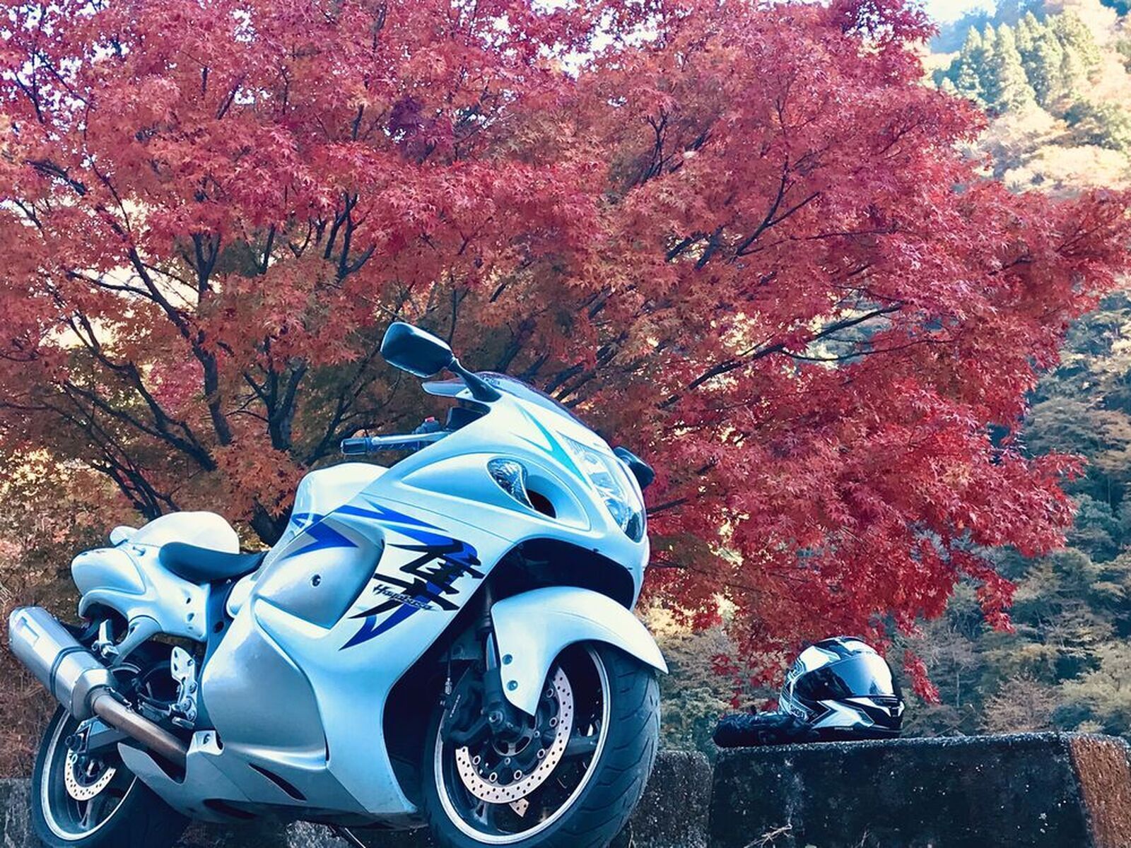 Hayabusa Bike Wallpapers - Top Free Hayabusa Bike Backgrounds ...