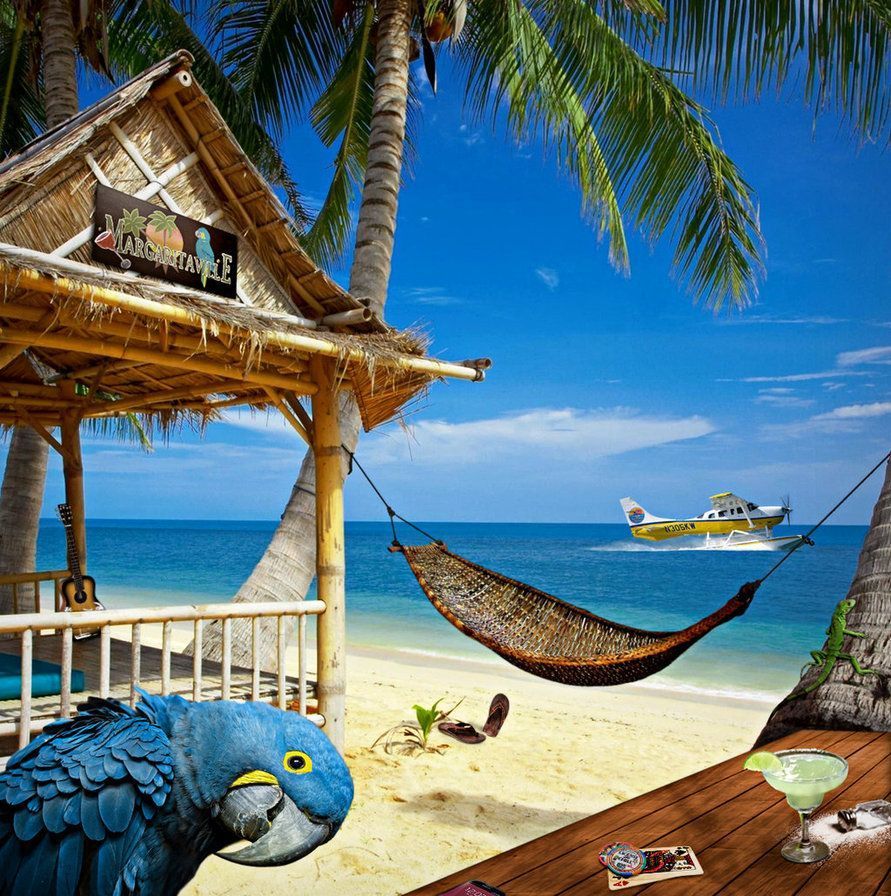 891x896 Margaritaville. Margaritaville, Carribean beach, Beach picture