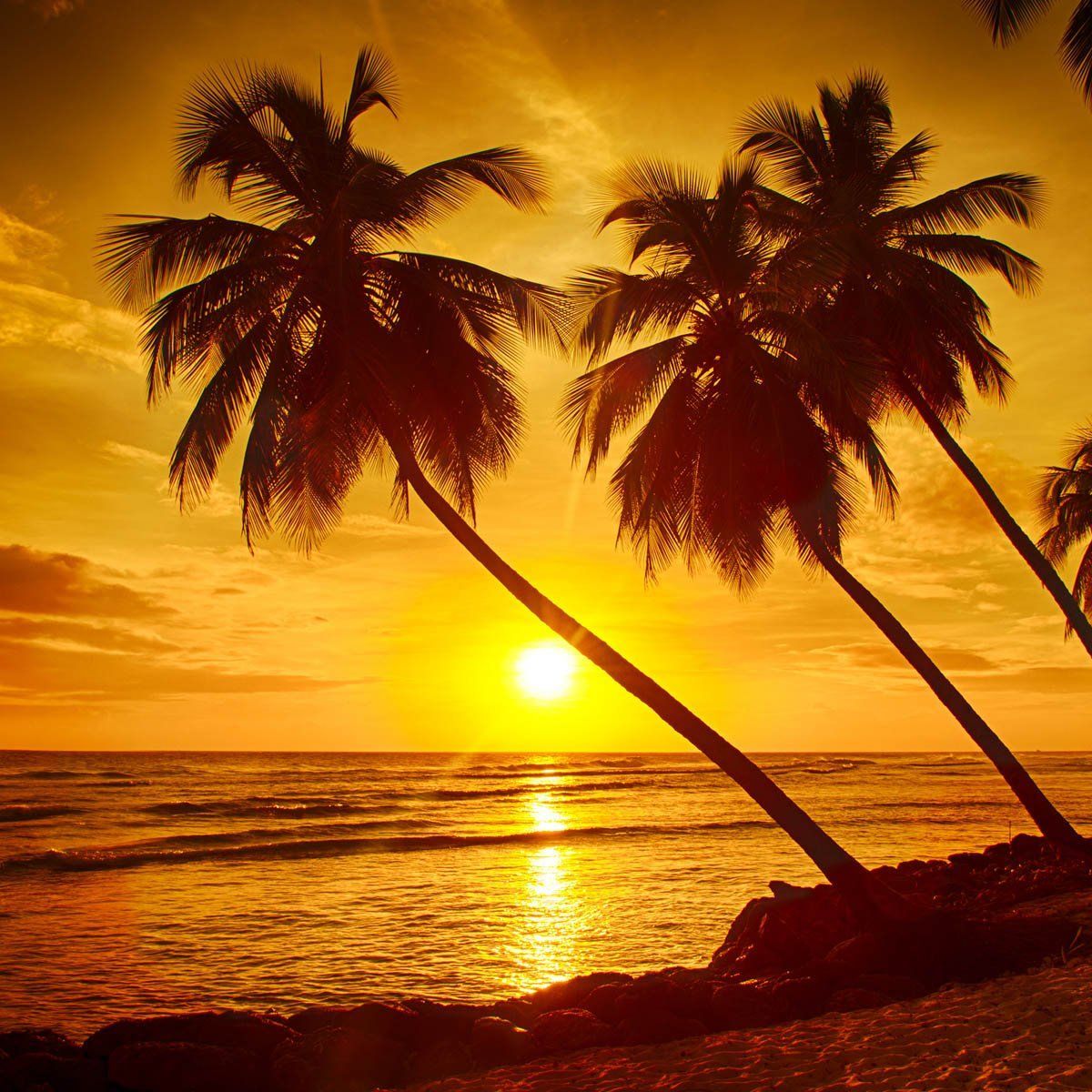 1200x1200 Margaritaville on X: If there's a heaven for me, I'm sure it has a beach attached. Buffett / X