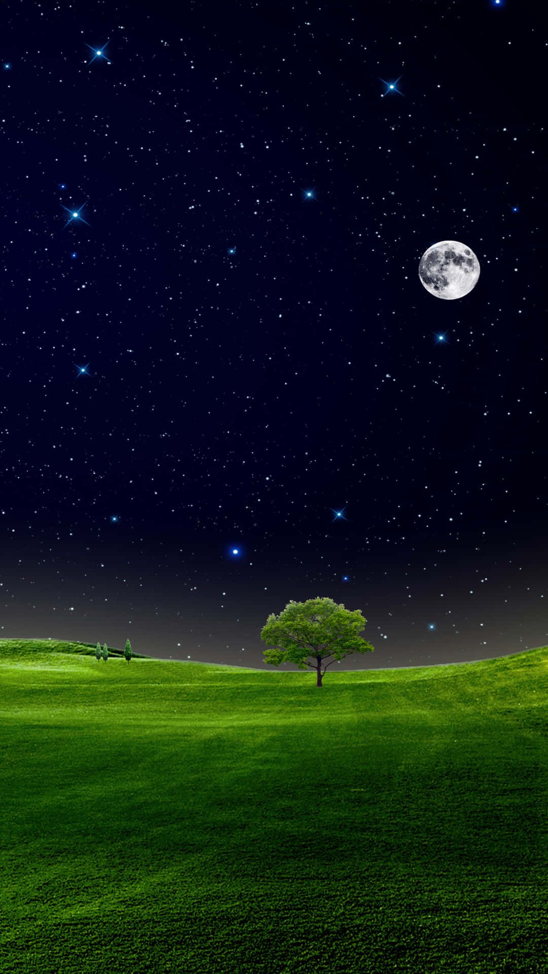 1080x1920 Download Dreamy view of a night sky with stars and crescent moon. Wallpaper