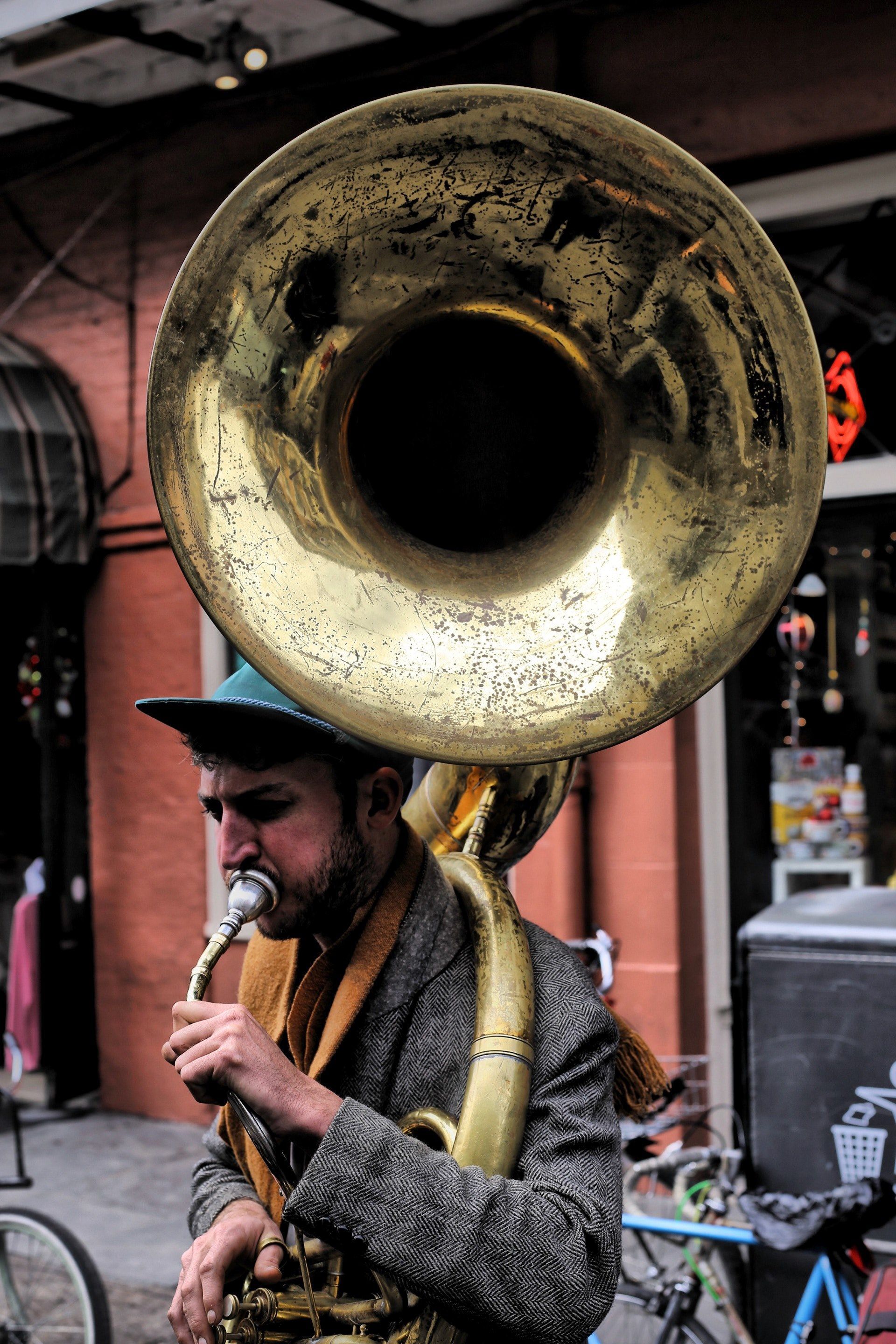 1920x2880 Wallpaper / tuba skinny 4k Phone Wallpaper