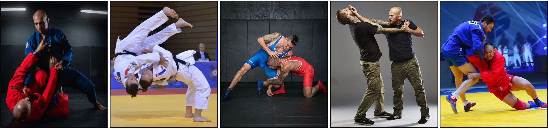 1900x450 Types Of Grappling Martial Arts