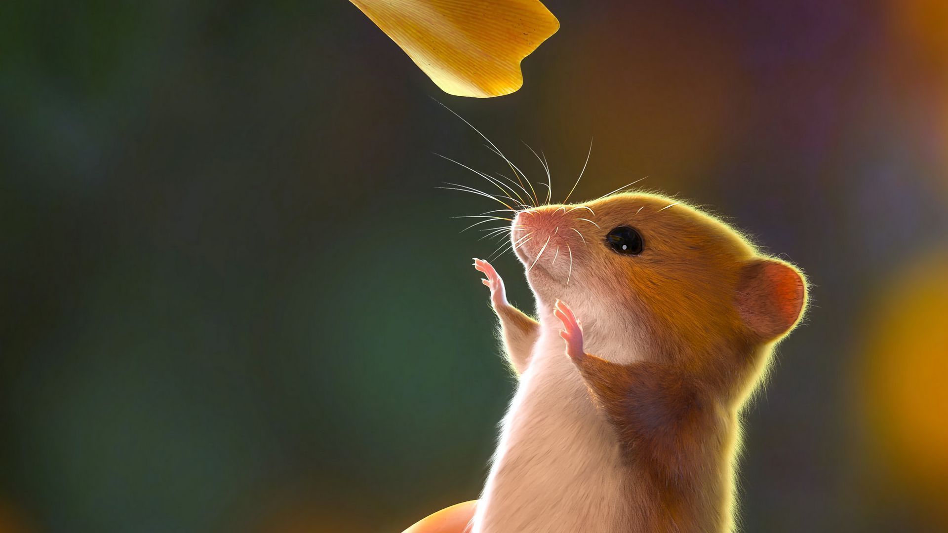 1920x1080 Wallpaper leaves mouse cute rodent art. Hewan pengerat, Lucu, Tikus