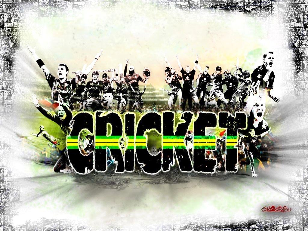 8732 Cricket background Vector Images  Depositphotos