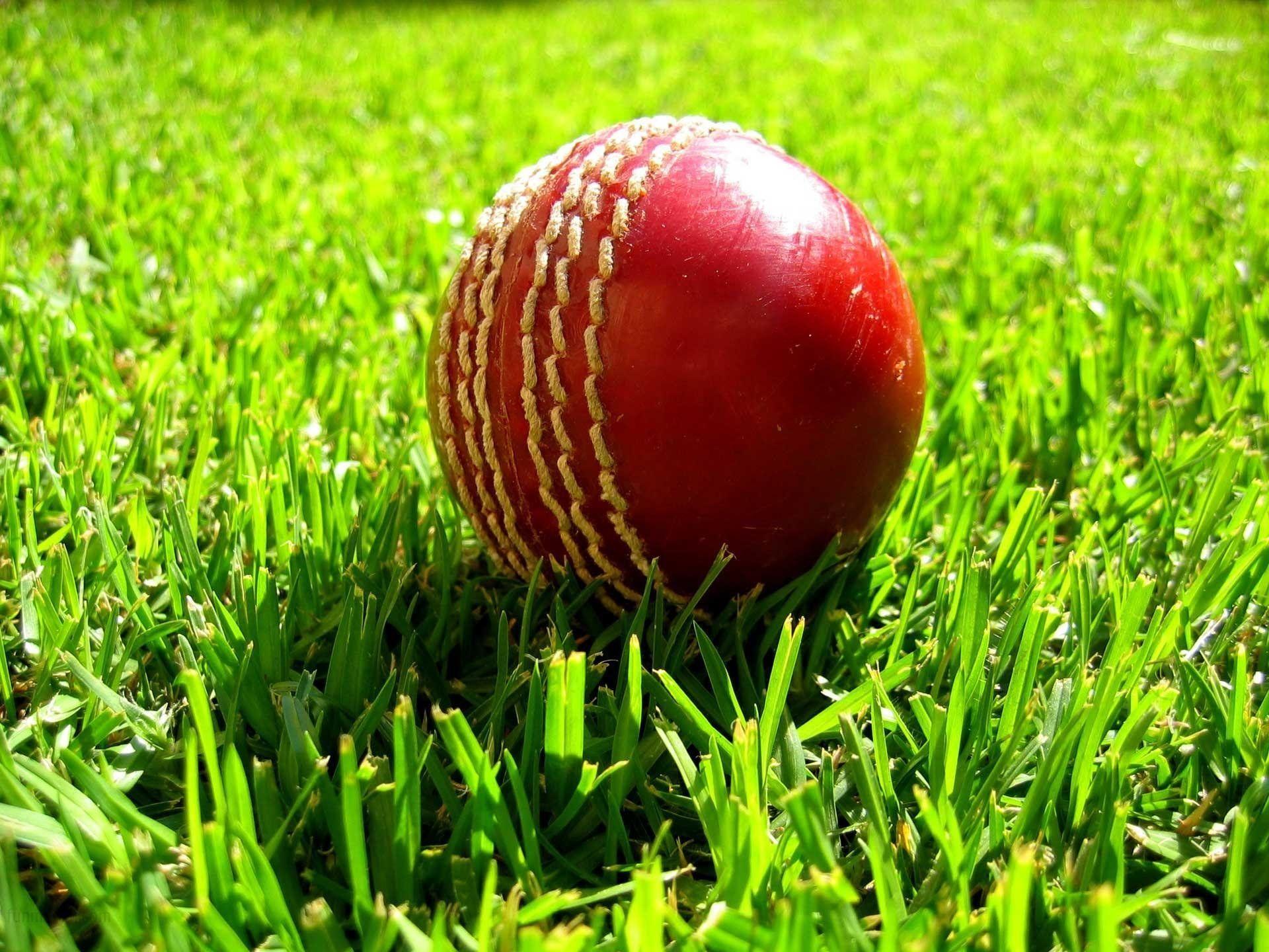 1920x1440 Hình nền Cricket HD # N5912S1
